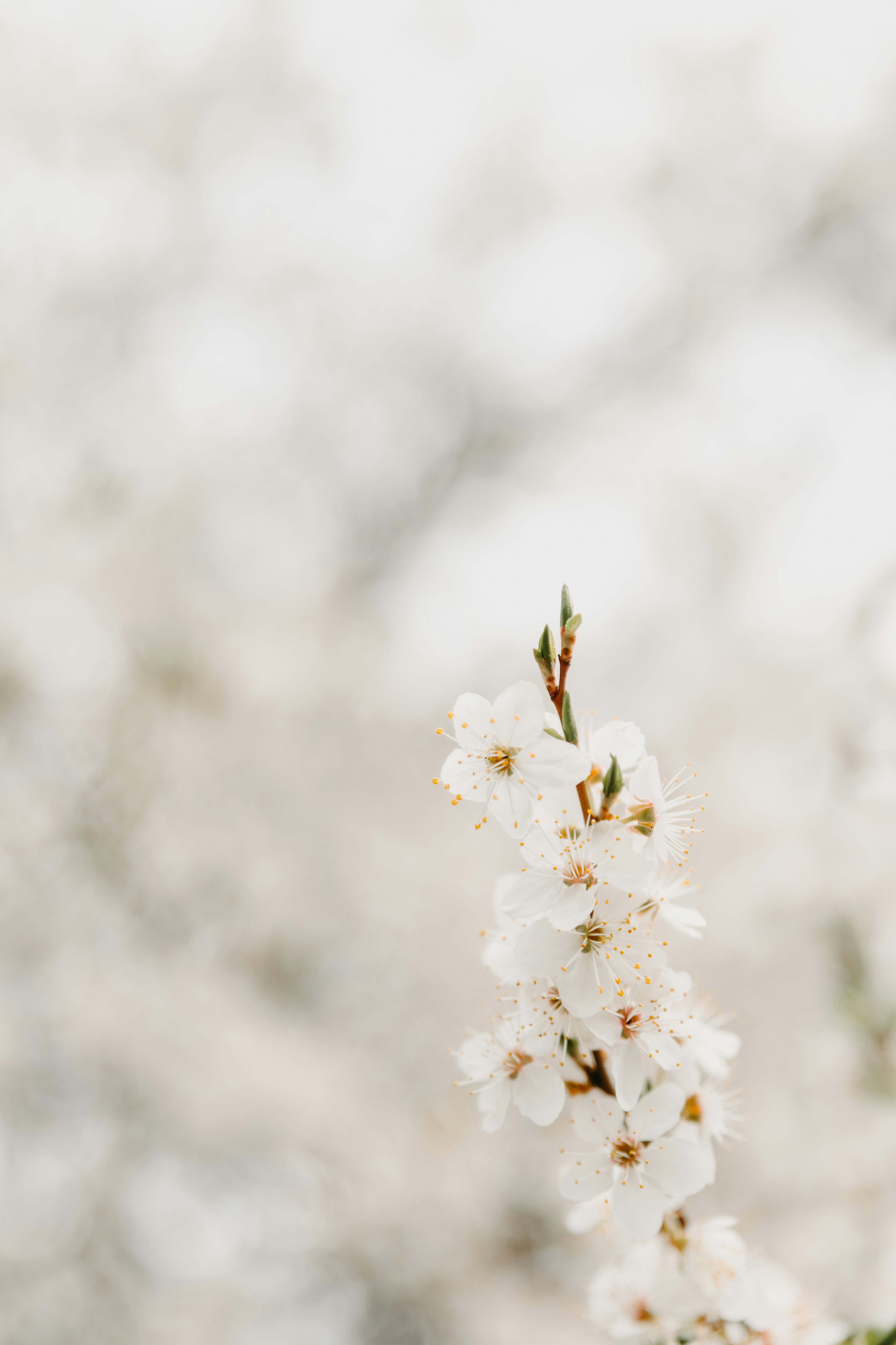 Photo by anitaaustvika