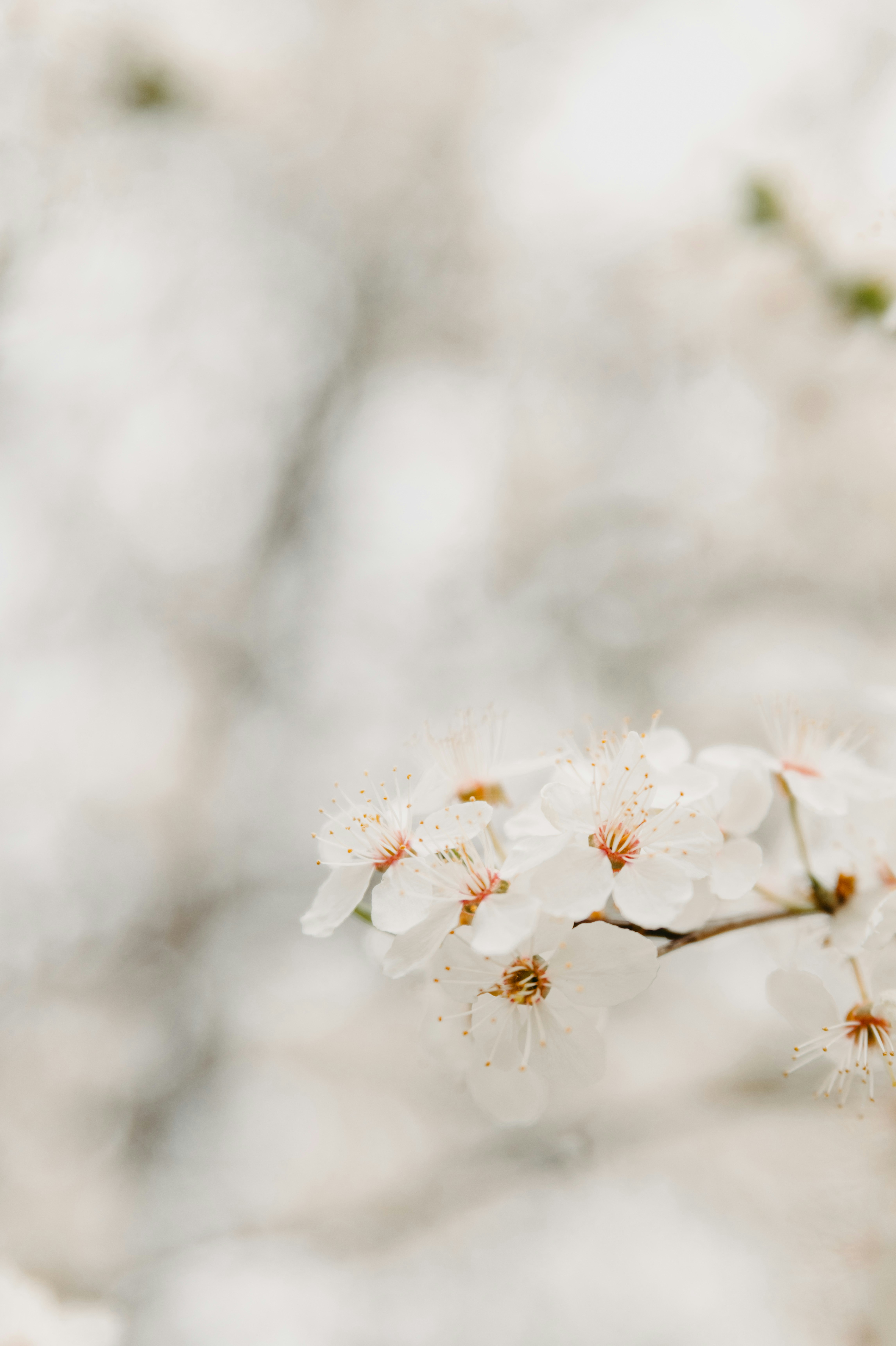 Photo by anitaaustvika