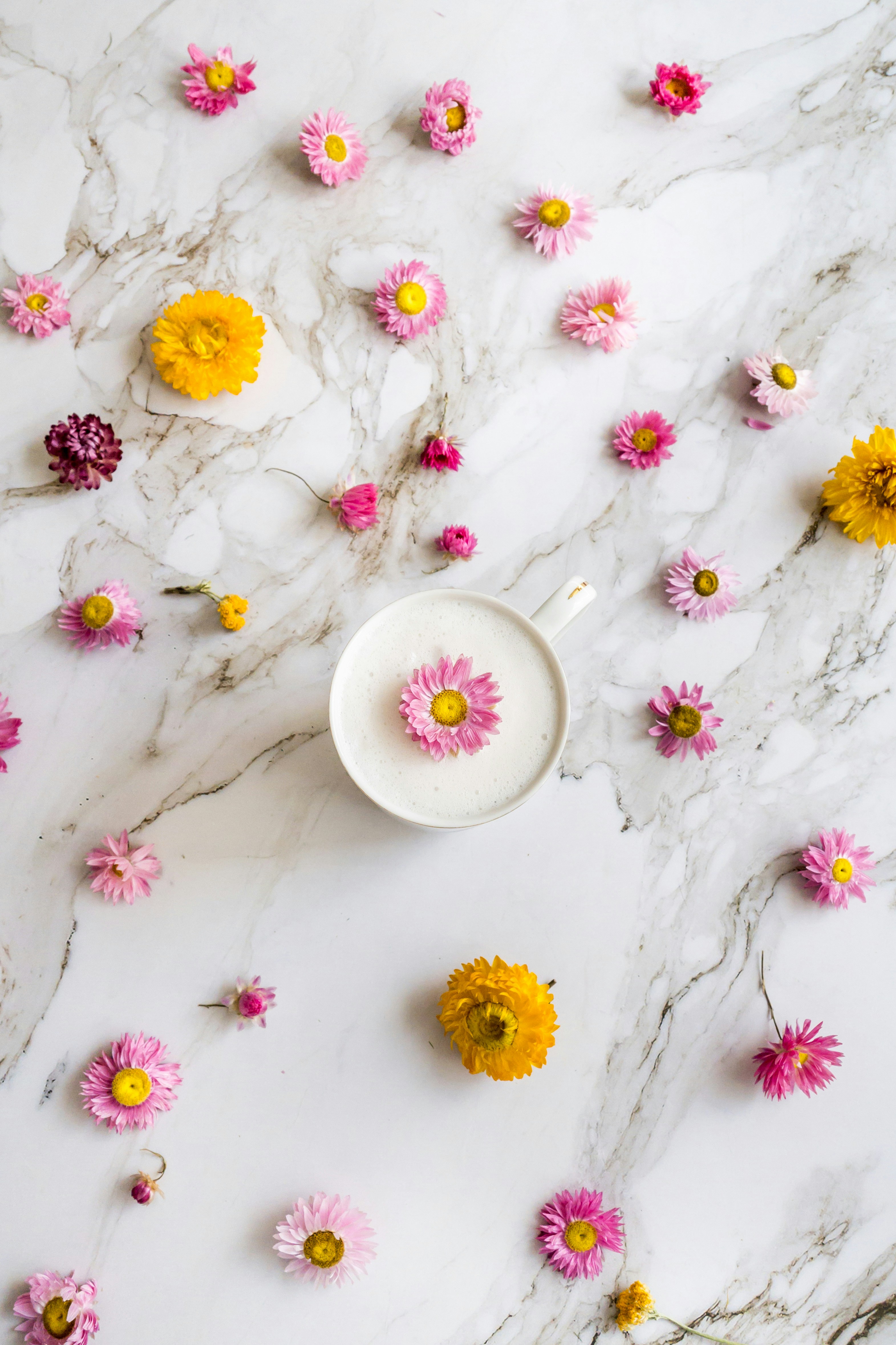 Photo by theroamingwildstead