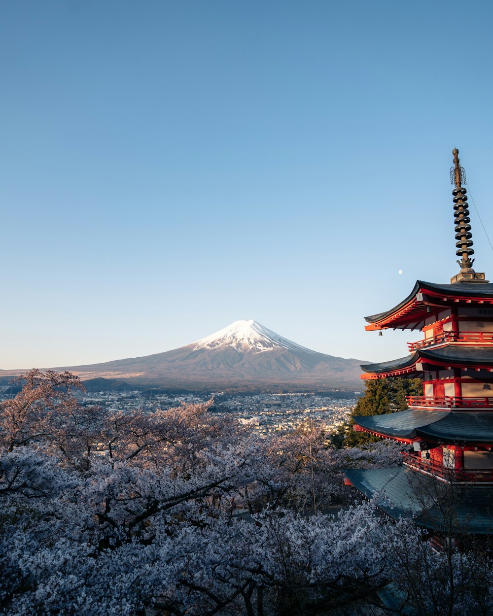 a pagoda with a mountain in the background