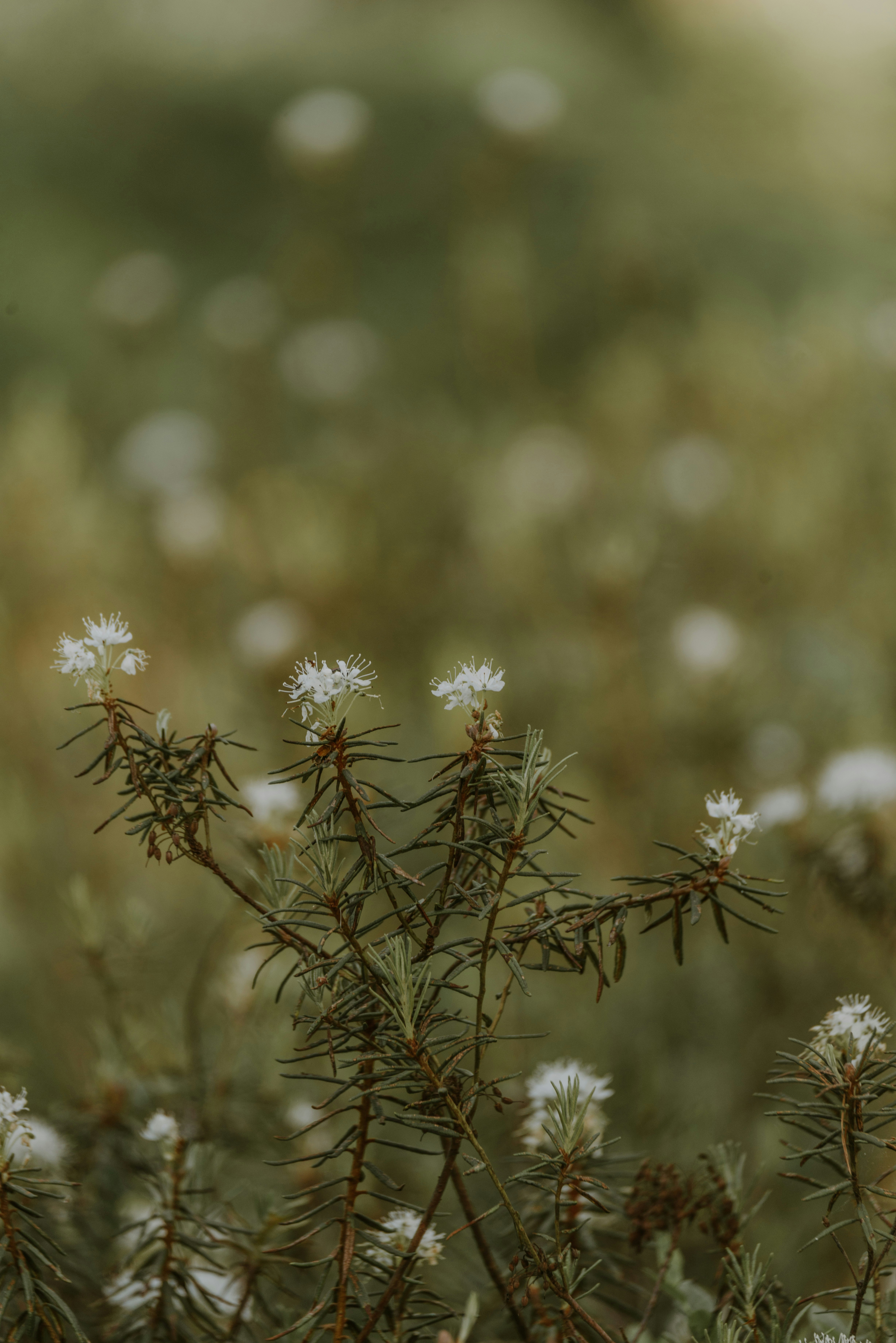 Photo by anitaaustvika