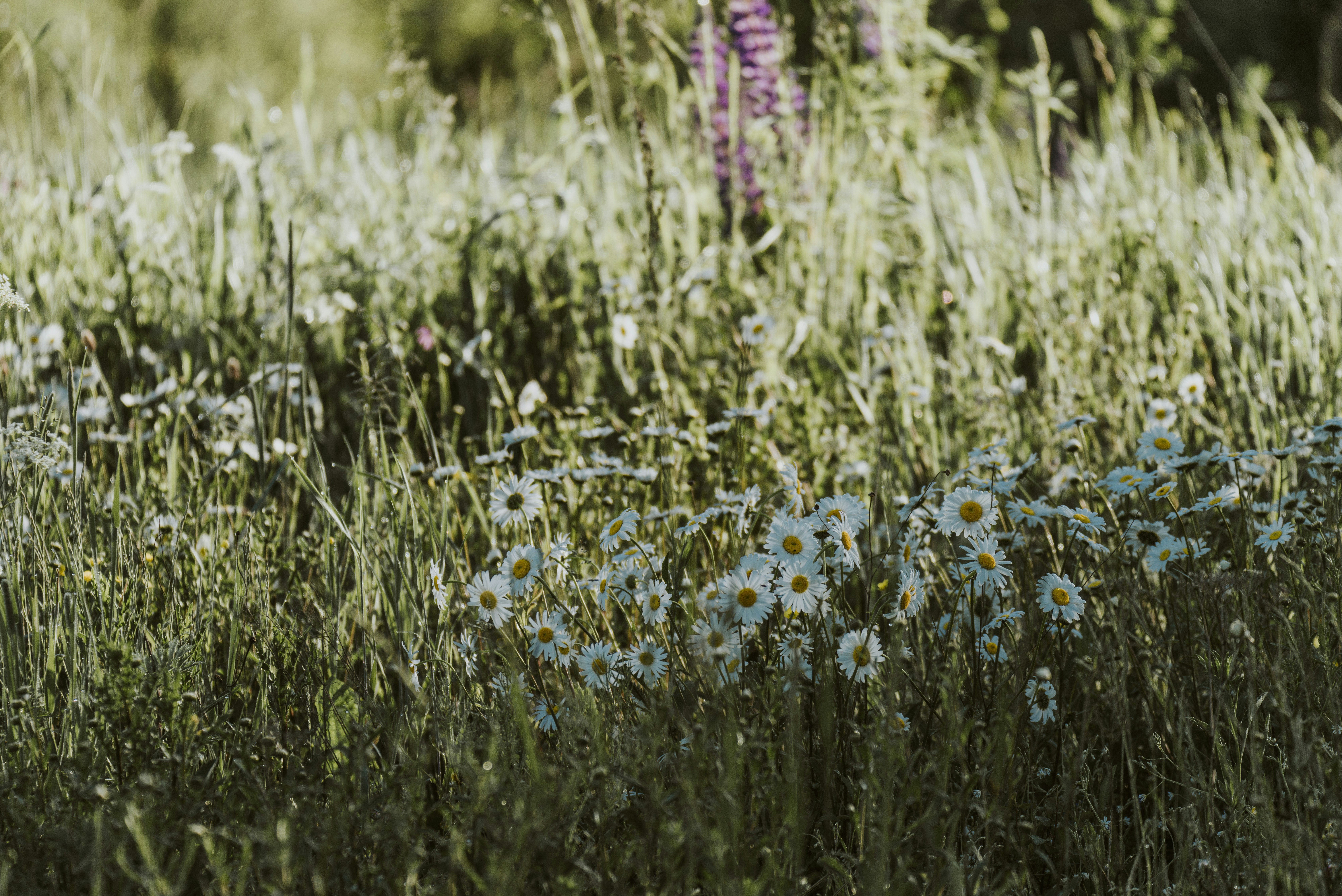 Photo by anitaaustvika