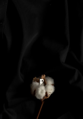 A single cotton boll rests against a dark, textured fabric background. A small, metallic emblem is embedded in the cotton fibers.