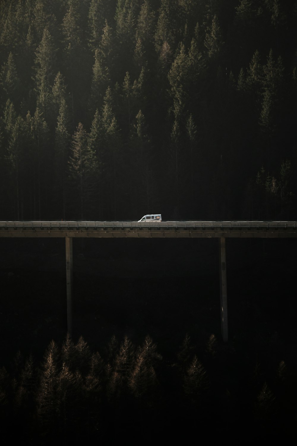 a car is driving on a highway near a forest