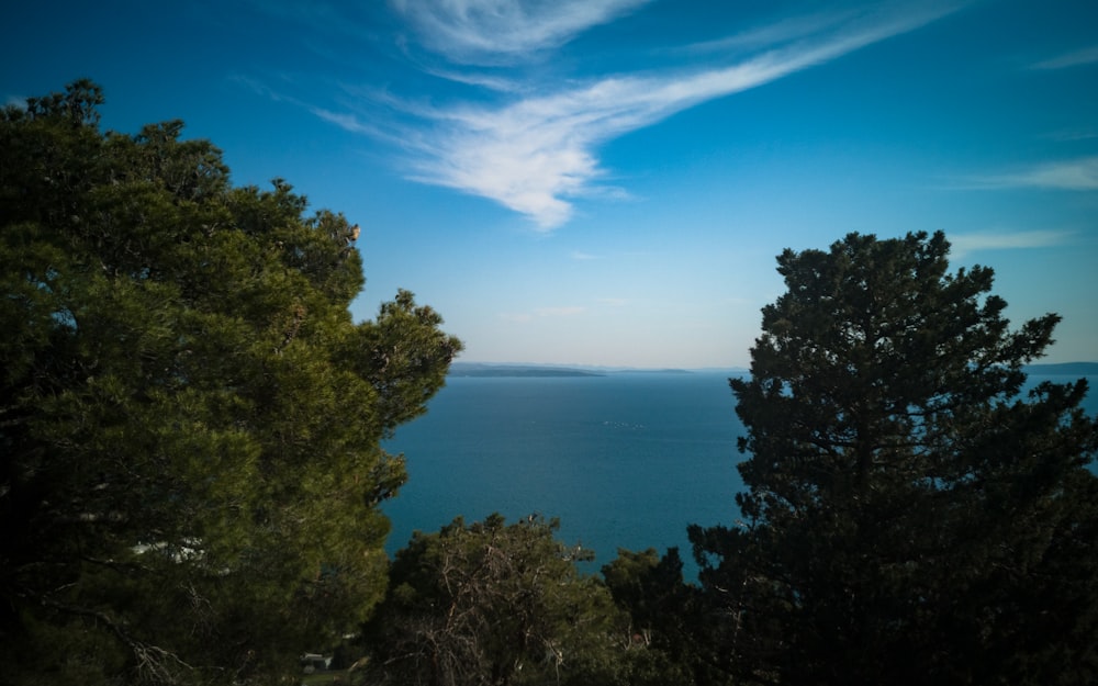 a view of a body of water through some trees