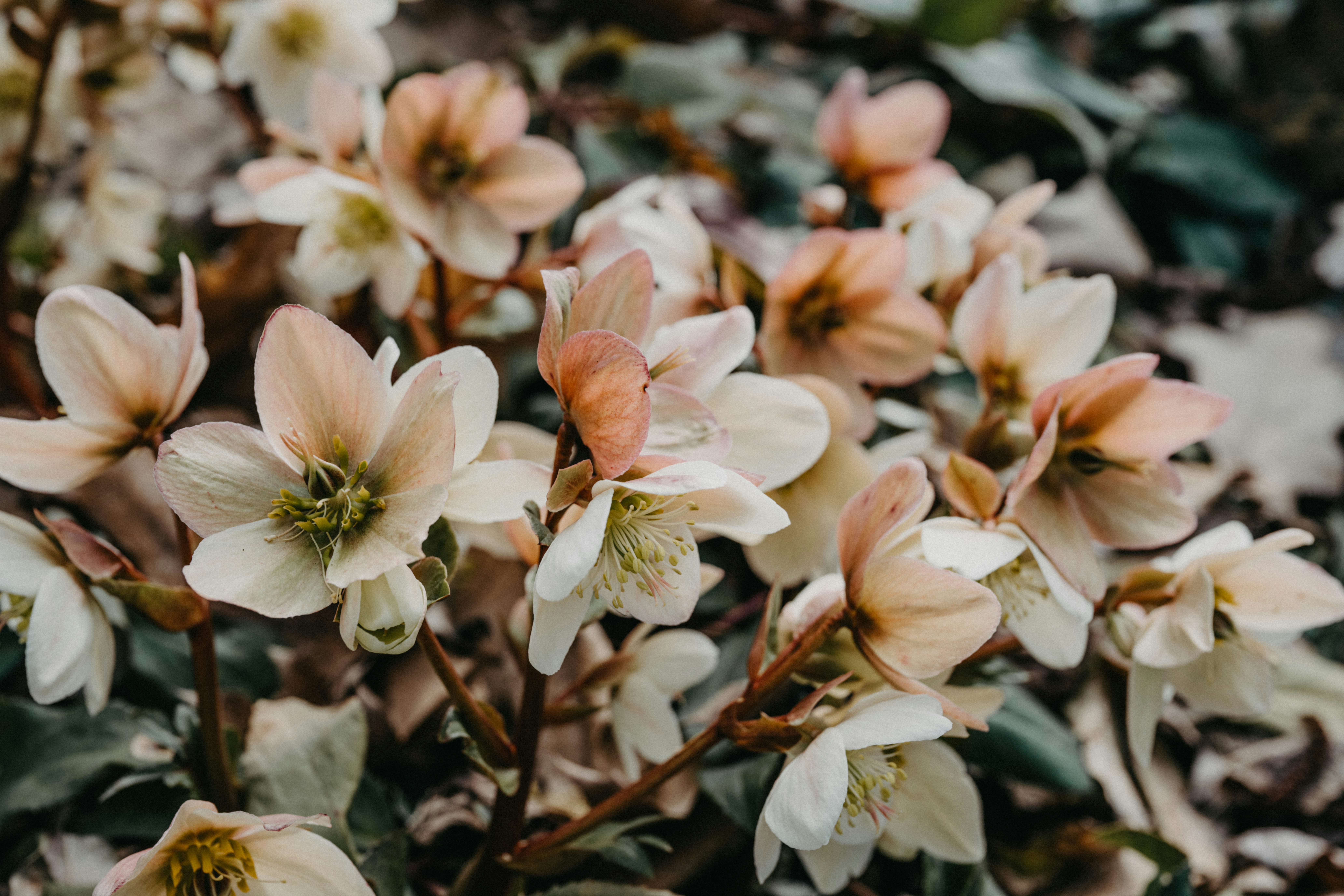 Photo by anitaaustvika