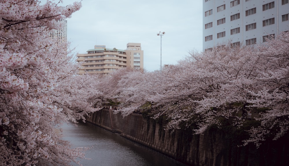 a river running through a city next to tall buildings