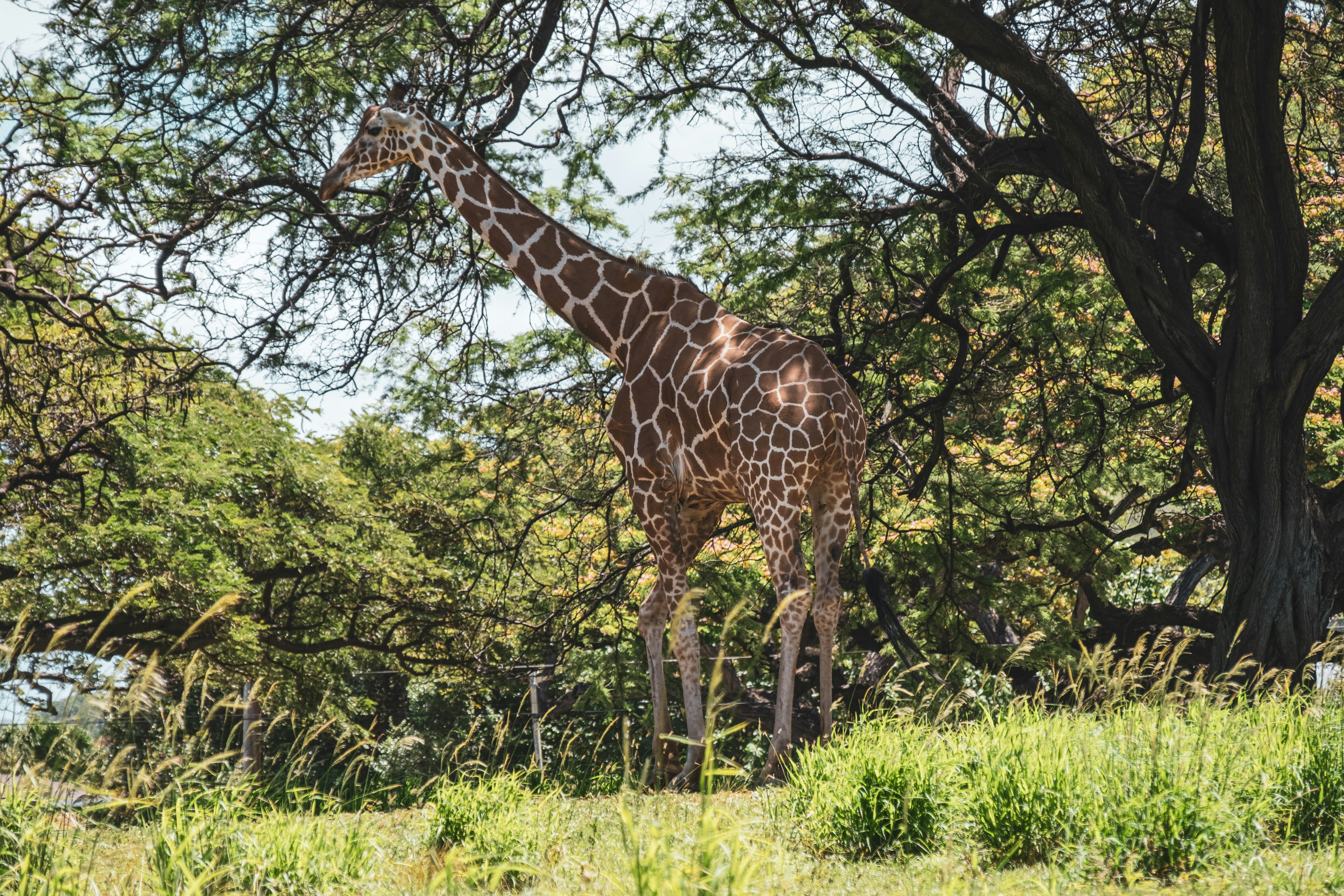 Photo by alanrodriguez