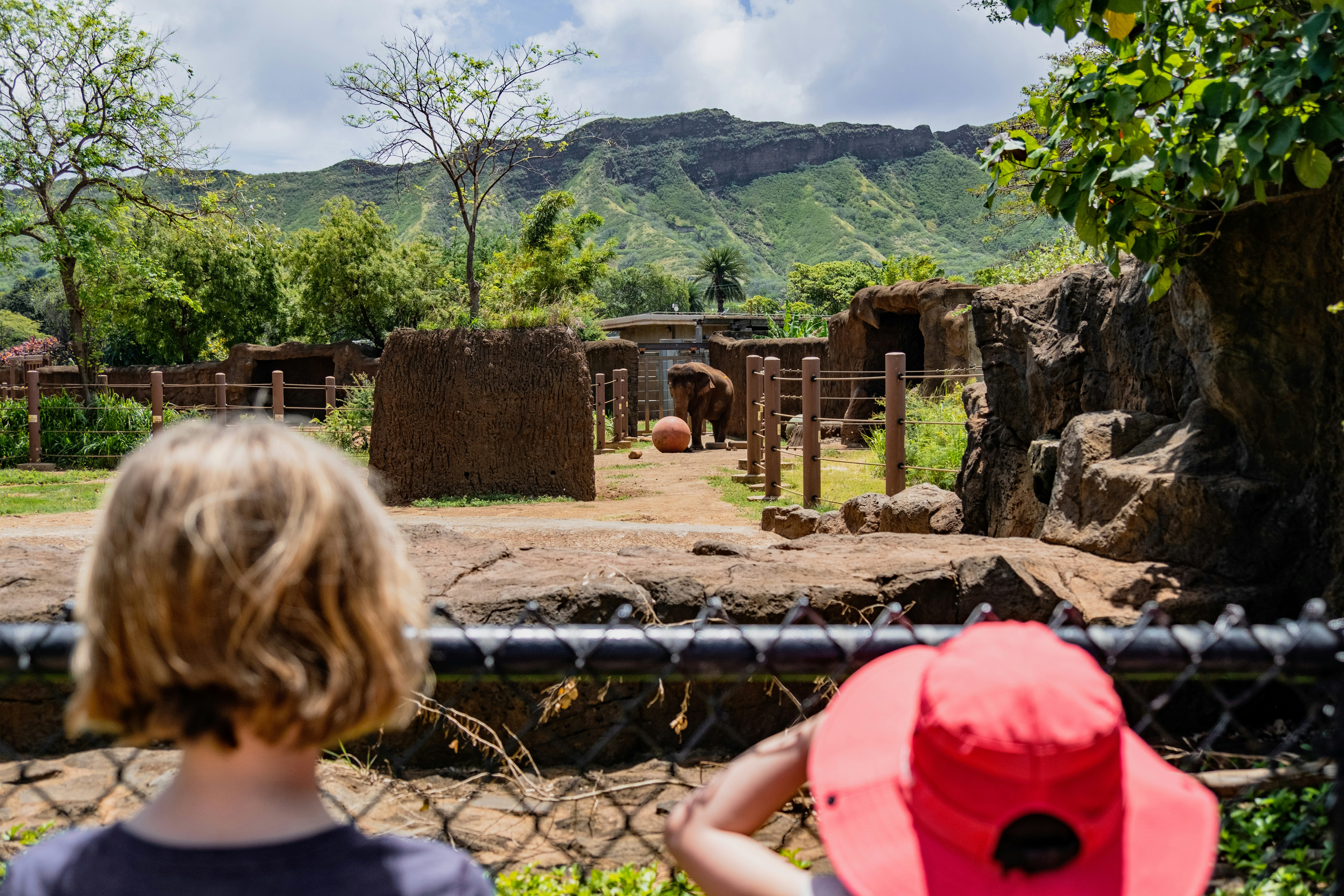 A little girl looking at an elephant in a zoo