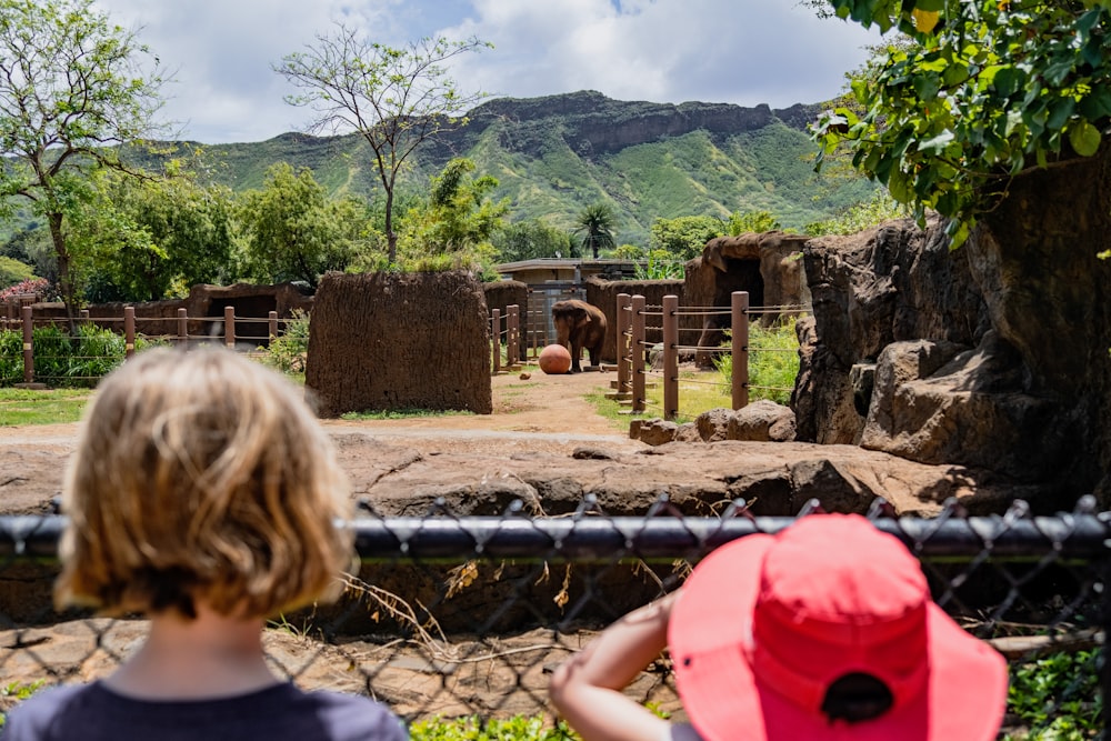 a little girl looking at an elephant in a zoo