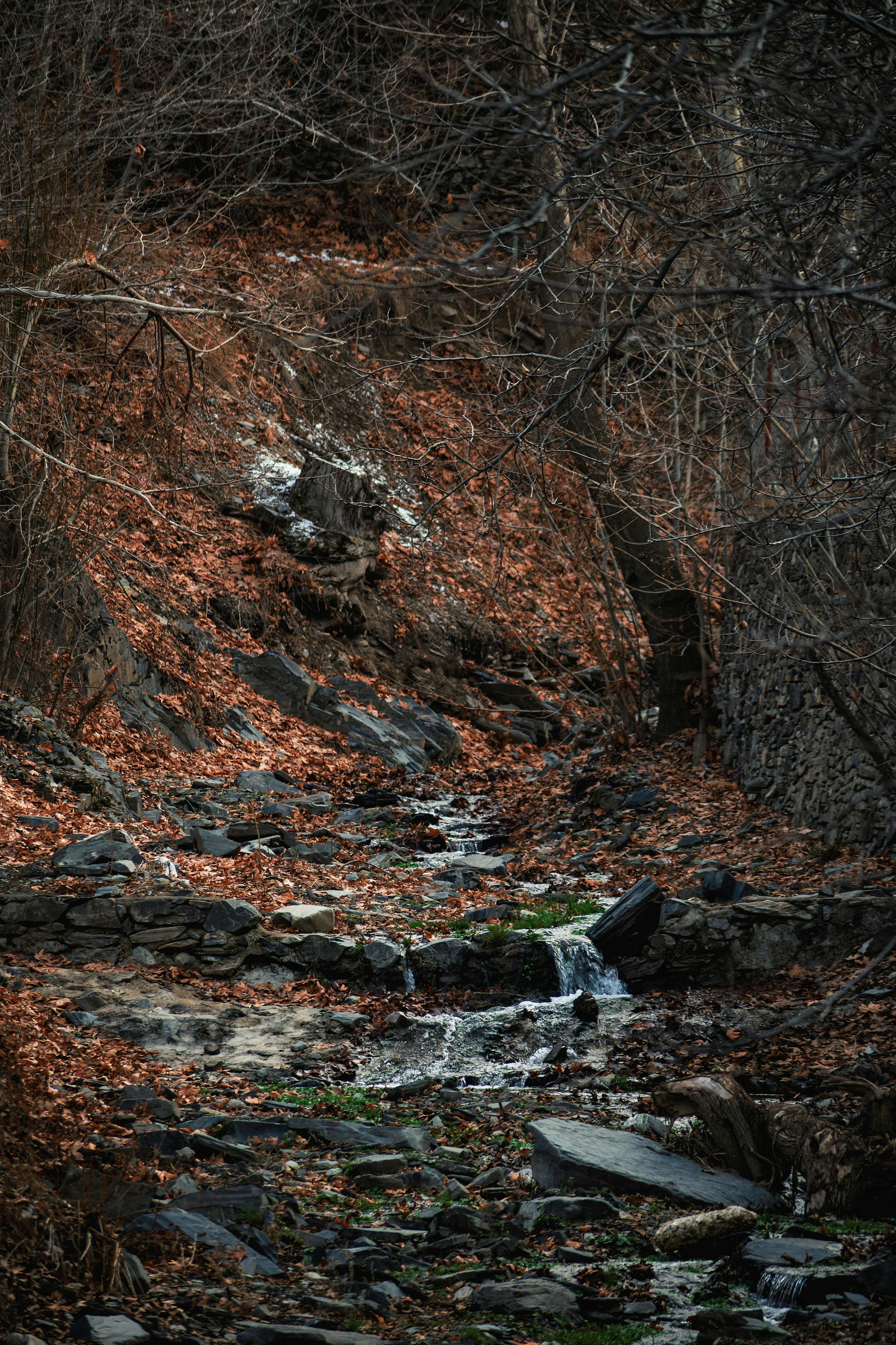 Photo by s_ahmadreza_p