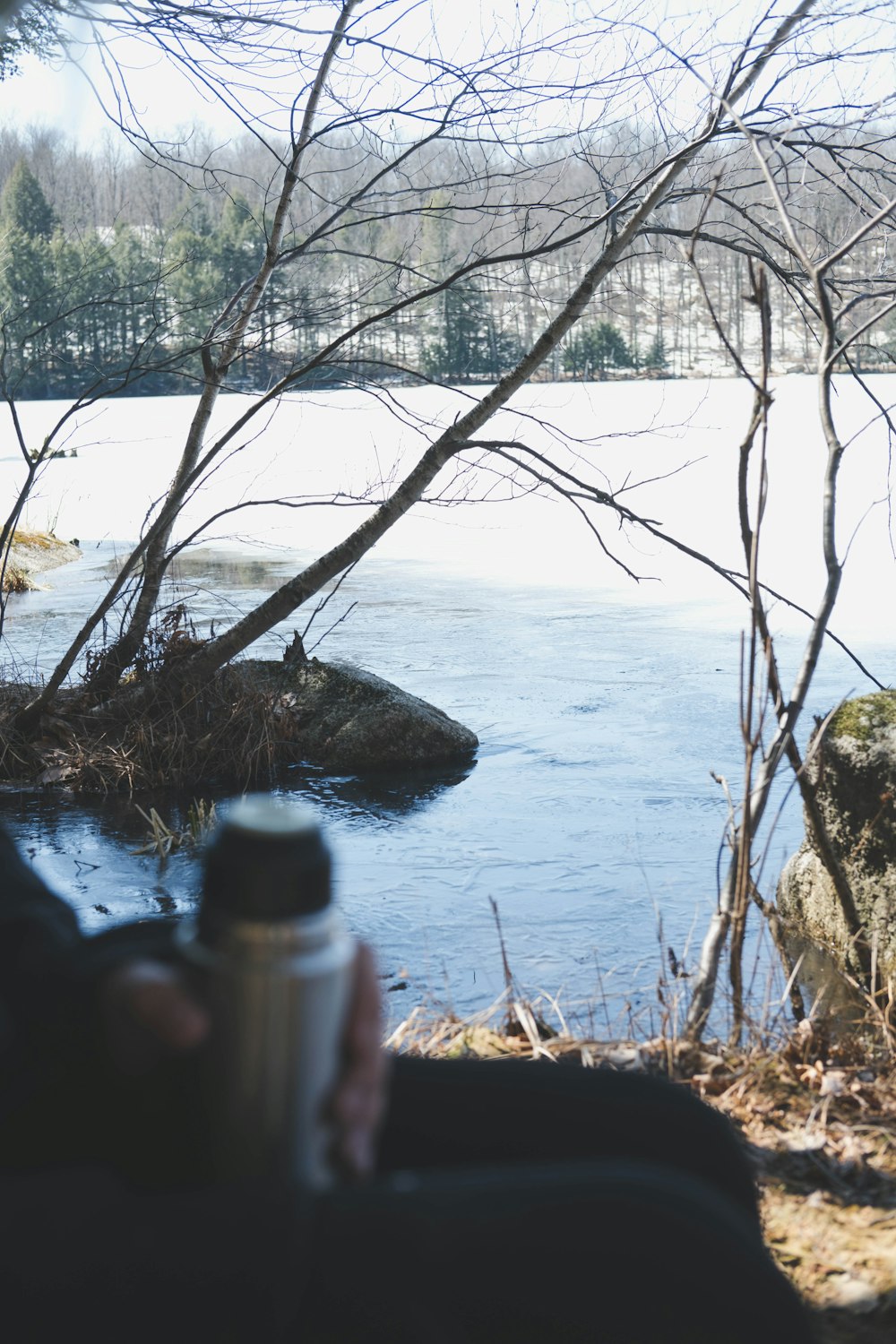 a person holding a coffee cup near a body of water