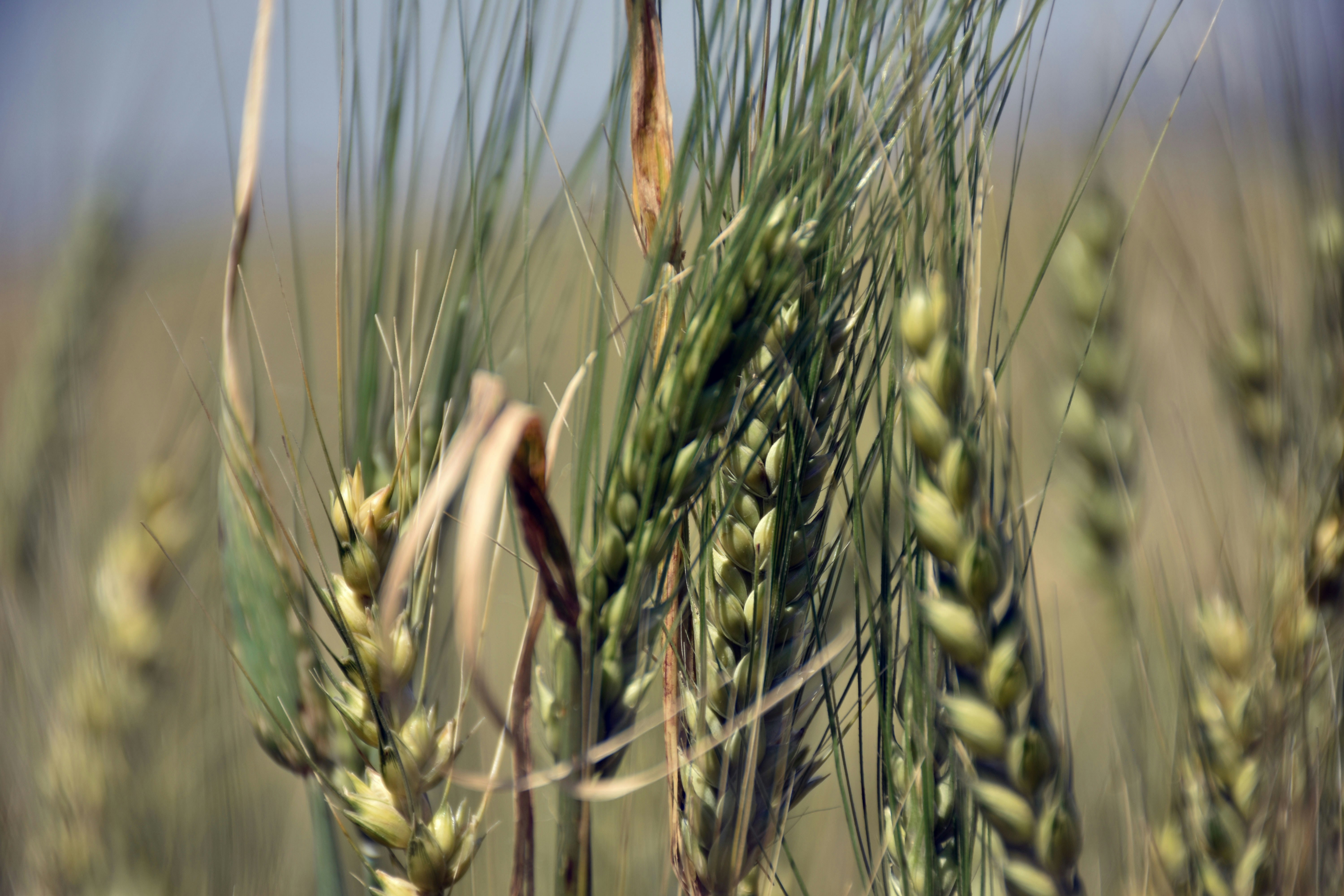 Photo by rezajomepour