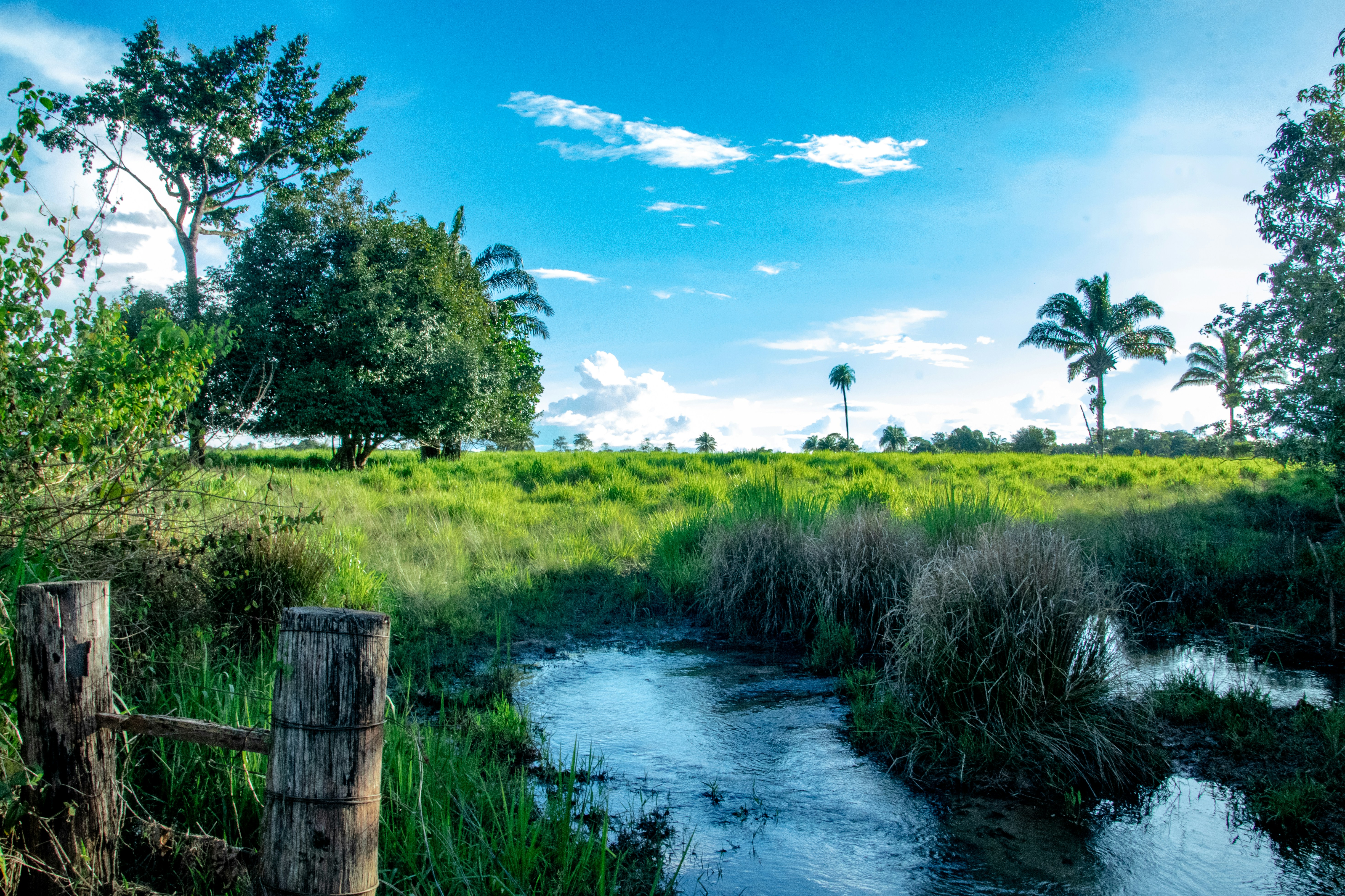 Photo by soybrenofotografia