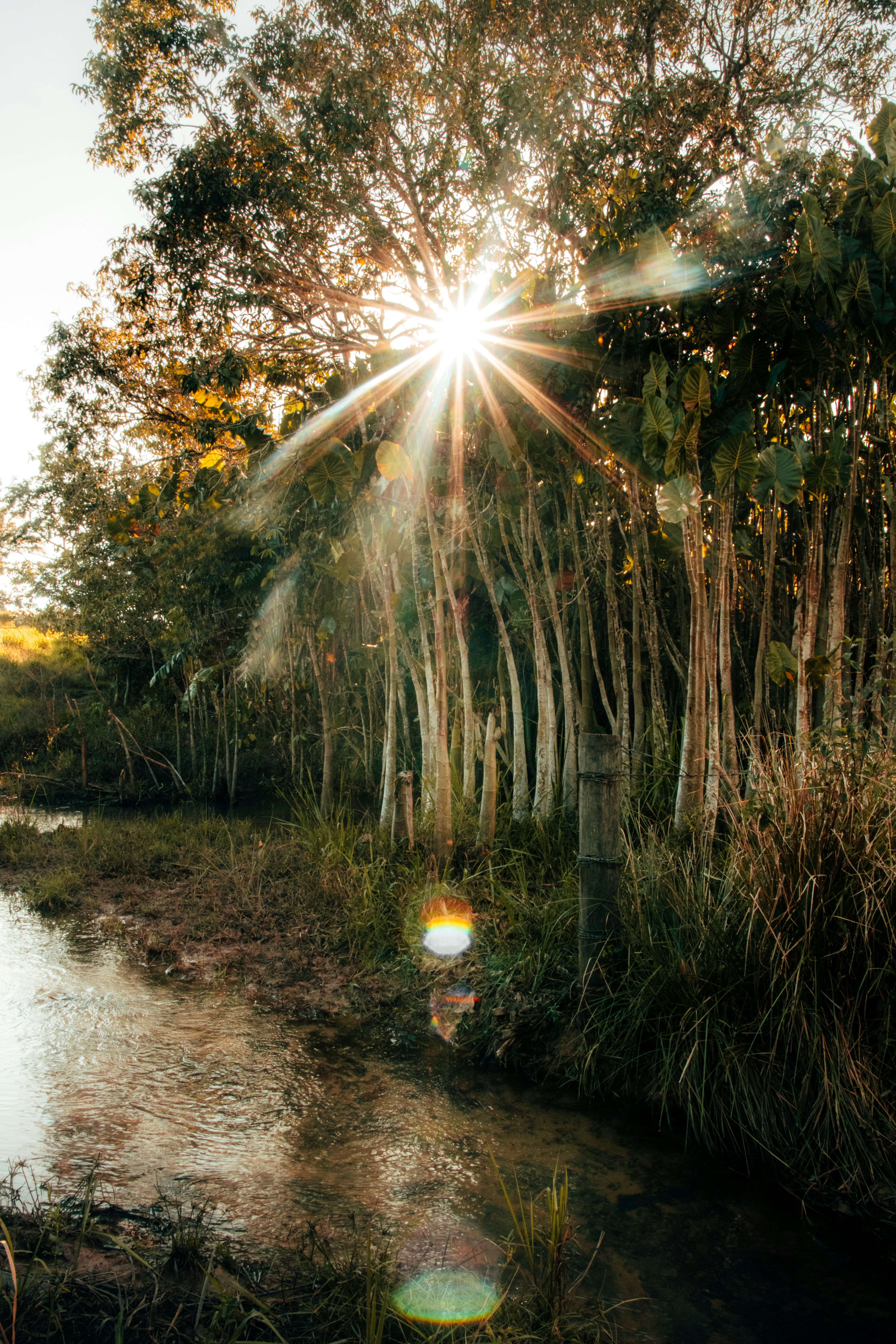 Photo by soybrenofotografia