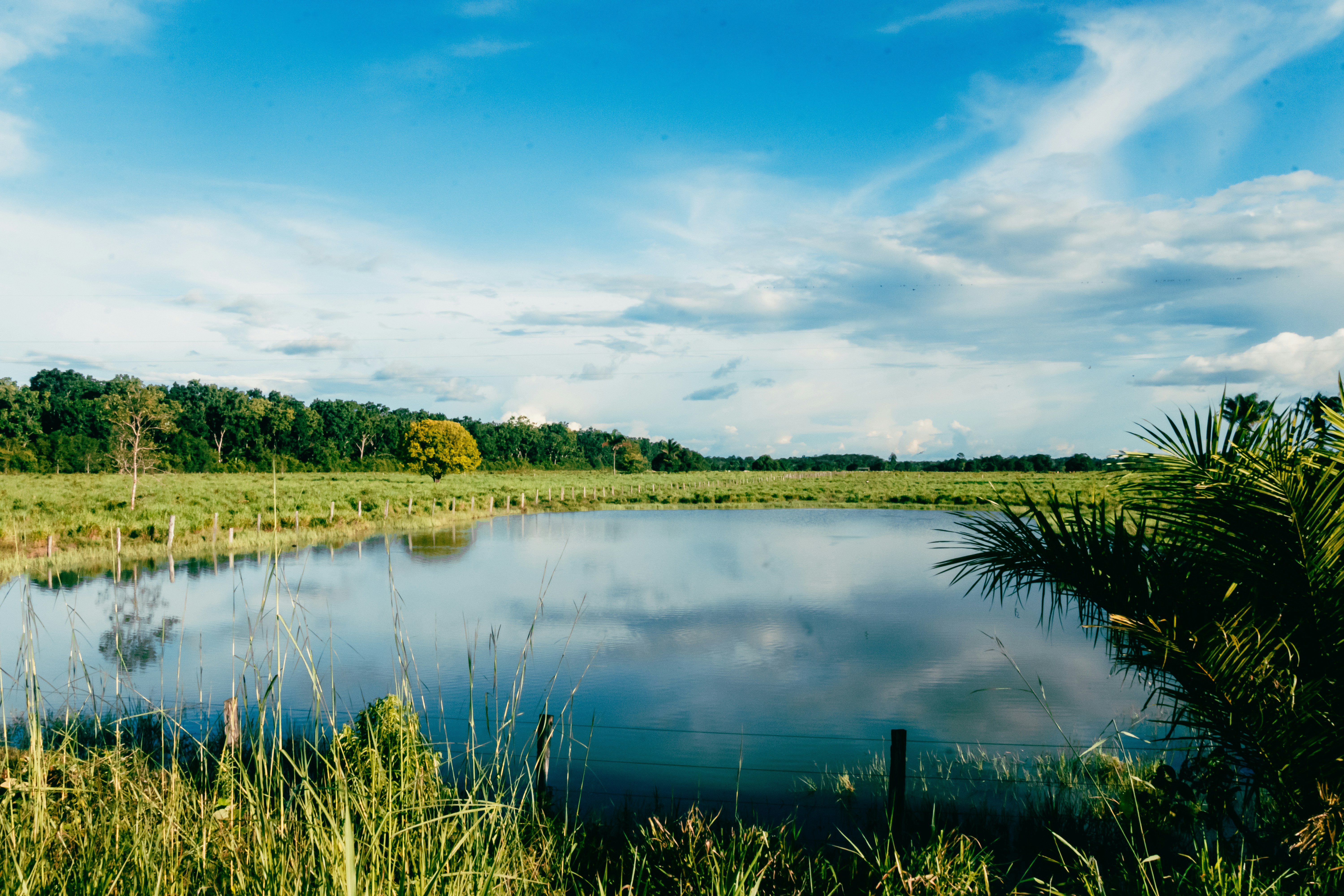 Photo by soybrenofotografia