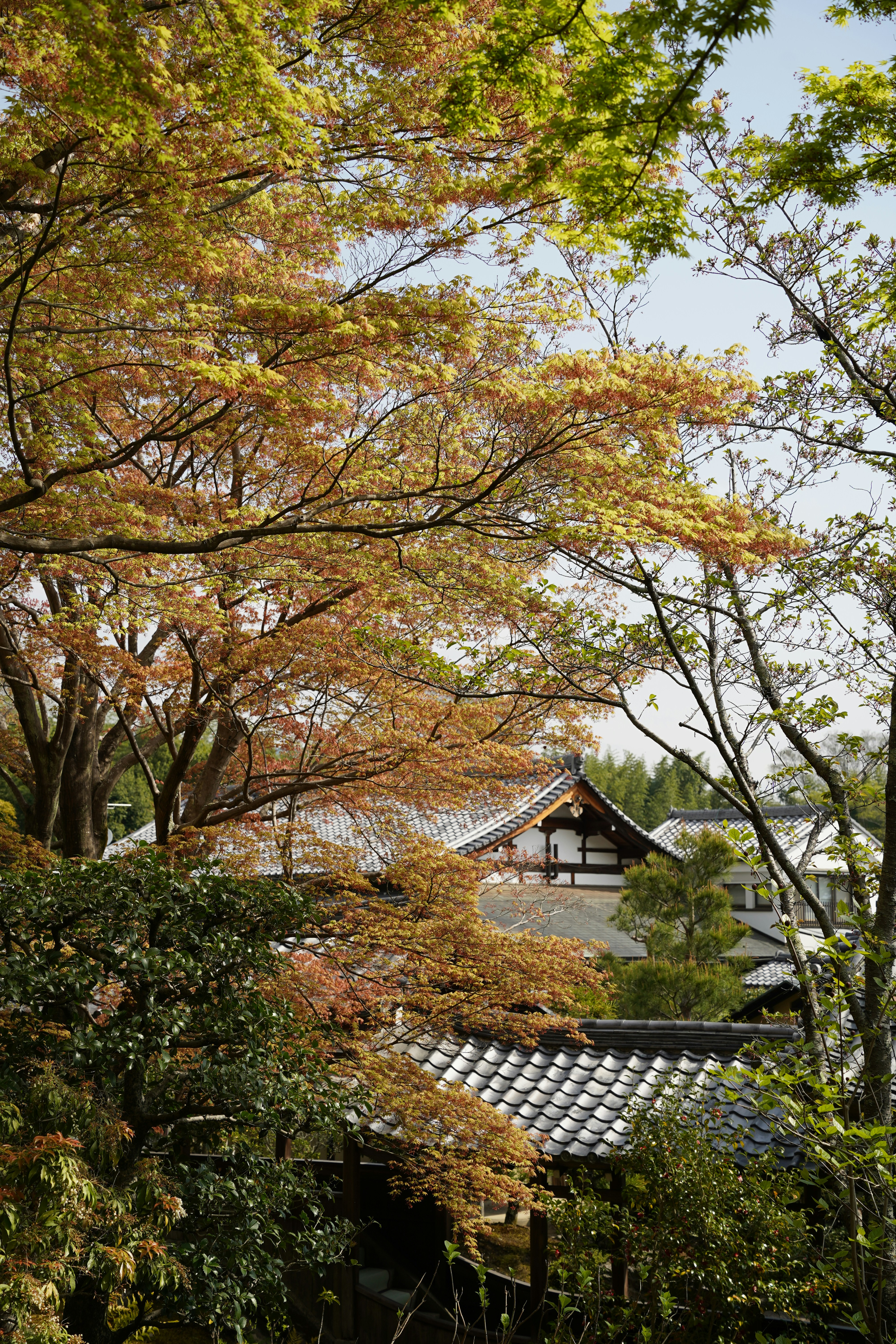 Photo by shpetimujkani