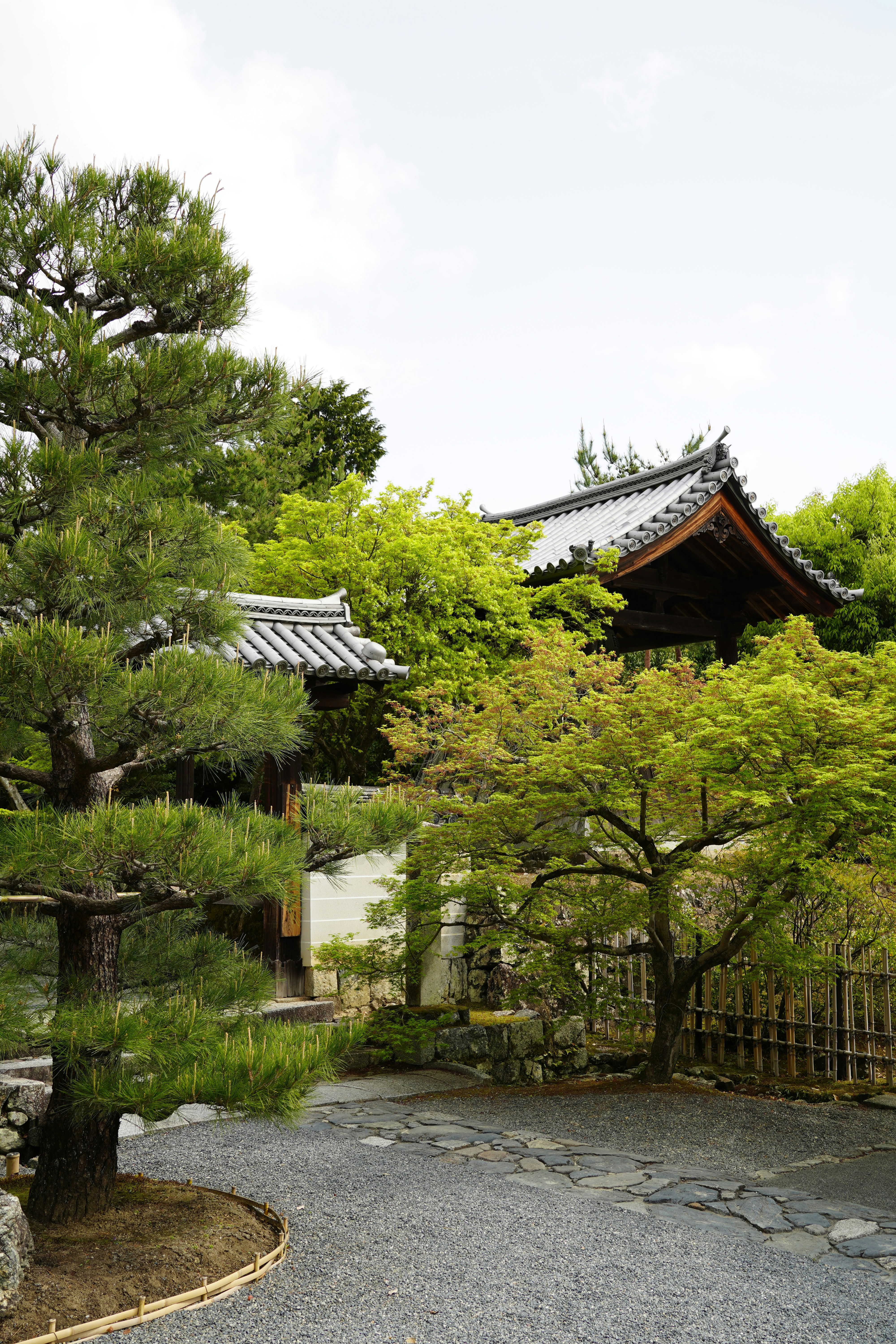 Photo by shpetimujkani