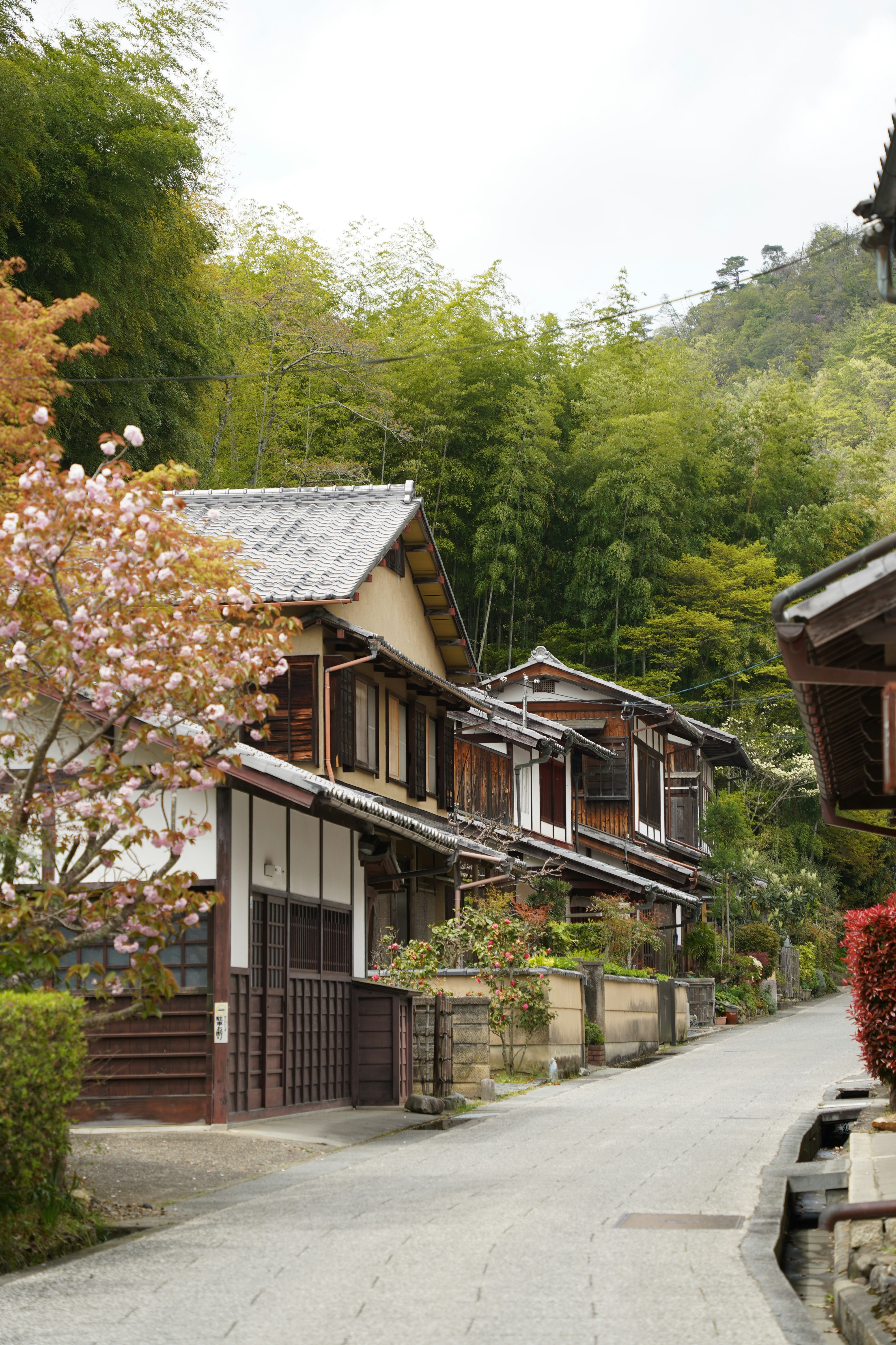 Photo by shpetimujkani