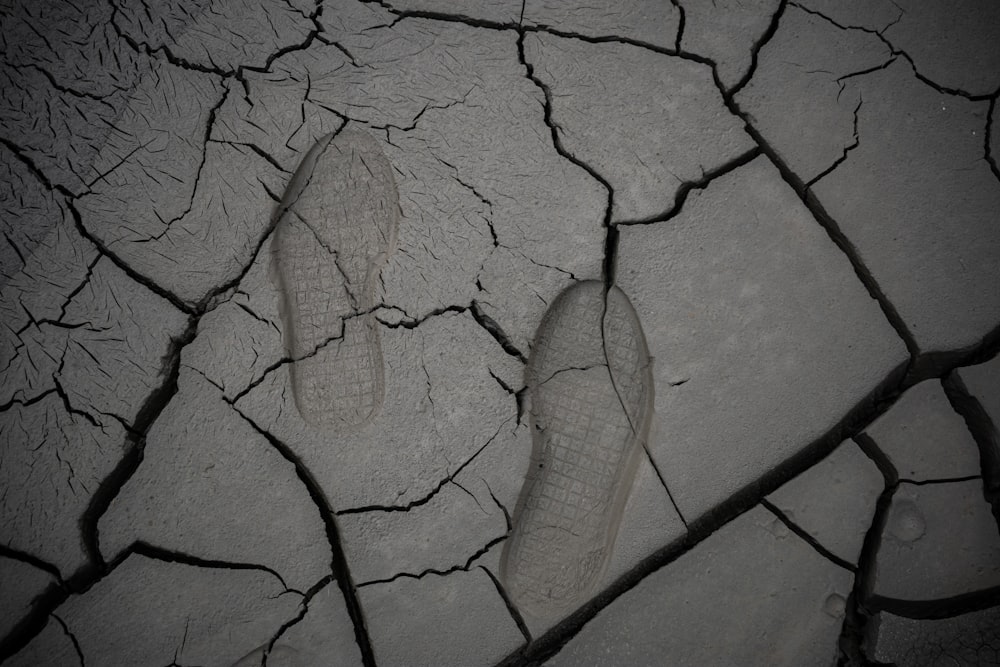 a pair of shoes that are on a cracked surface