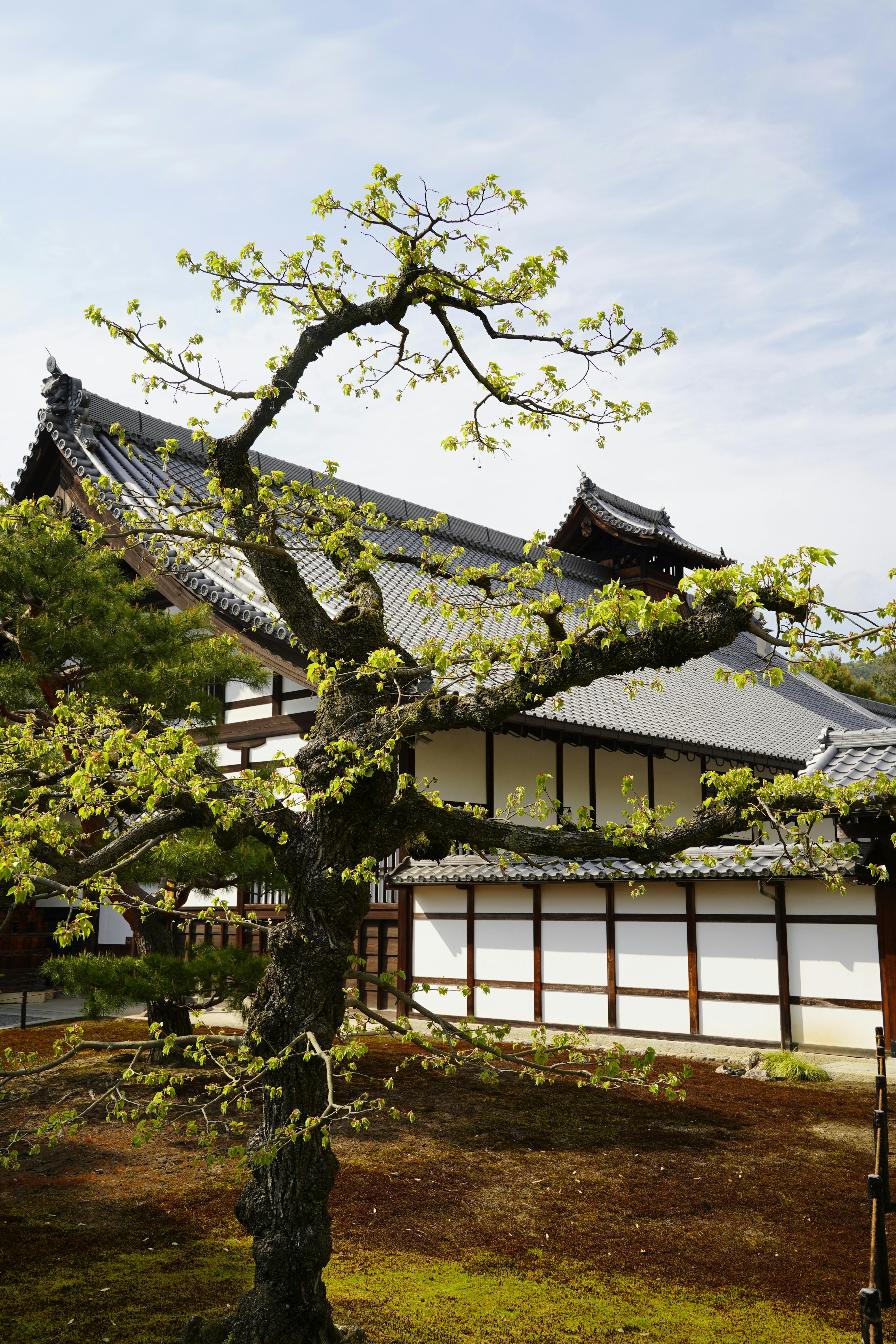 Photo by shpetimujkani