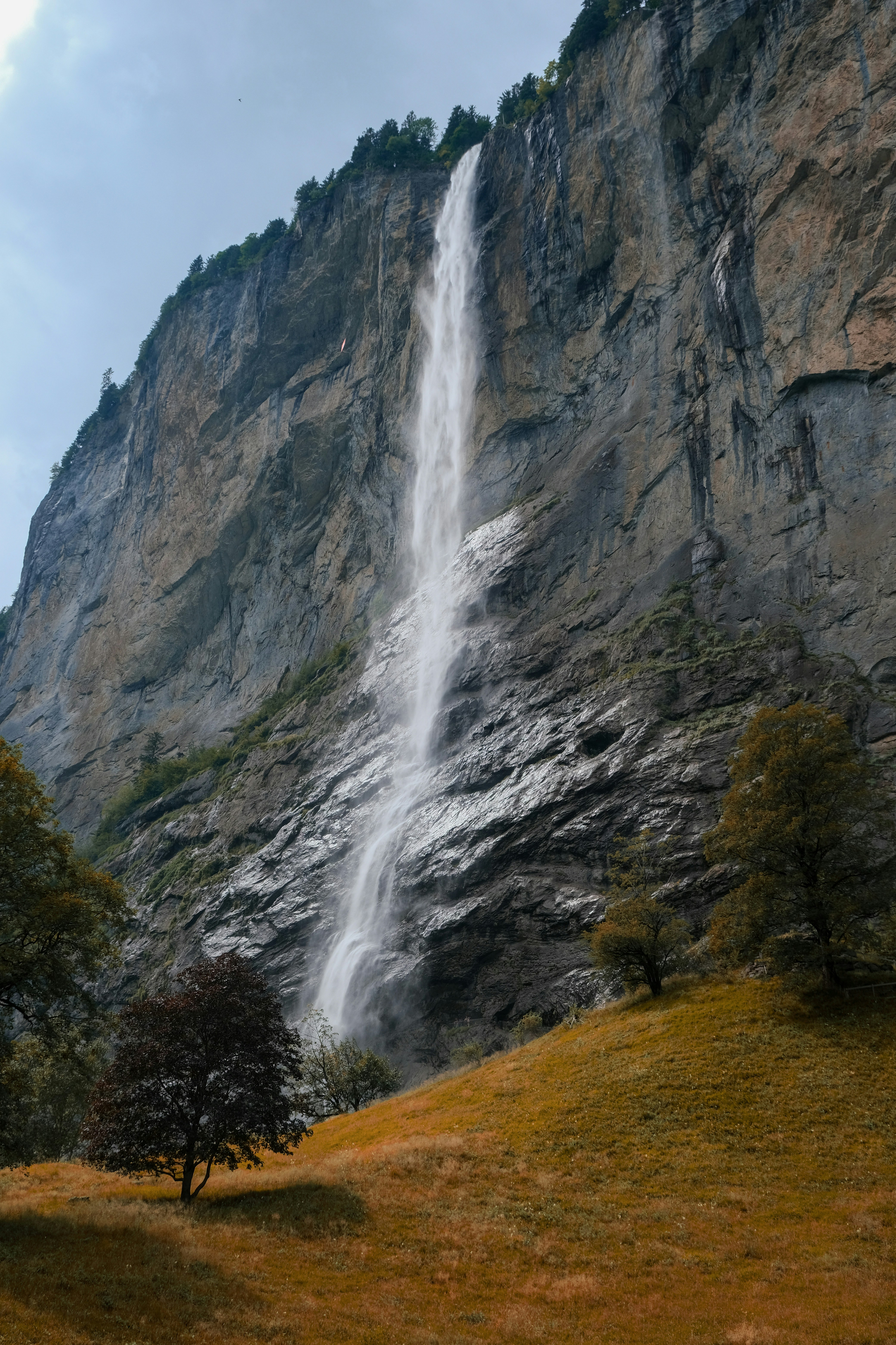 Photo by mysterydonut