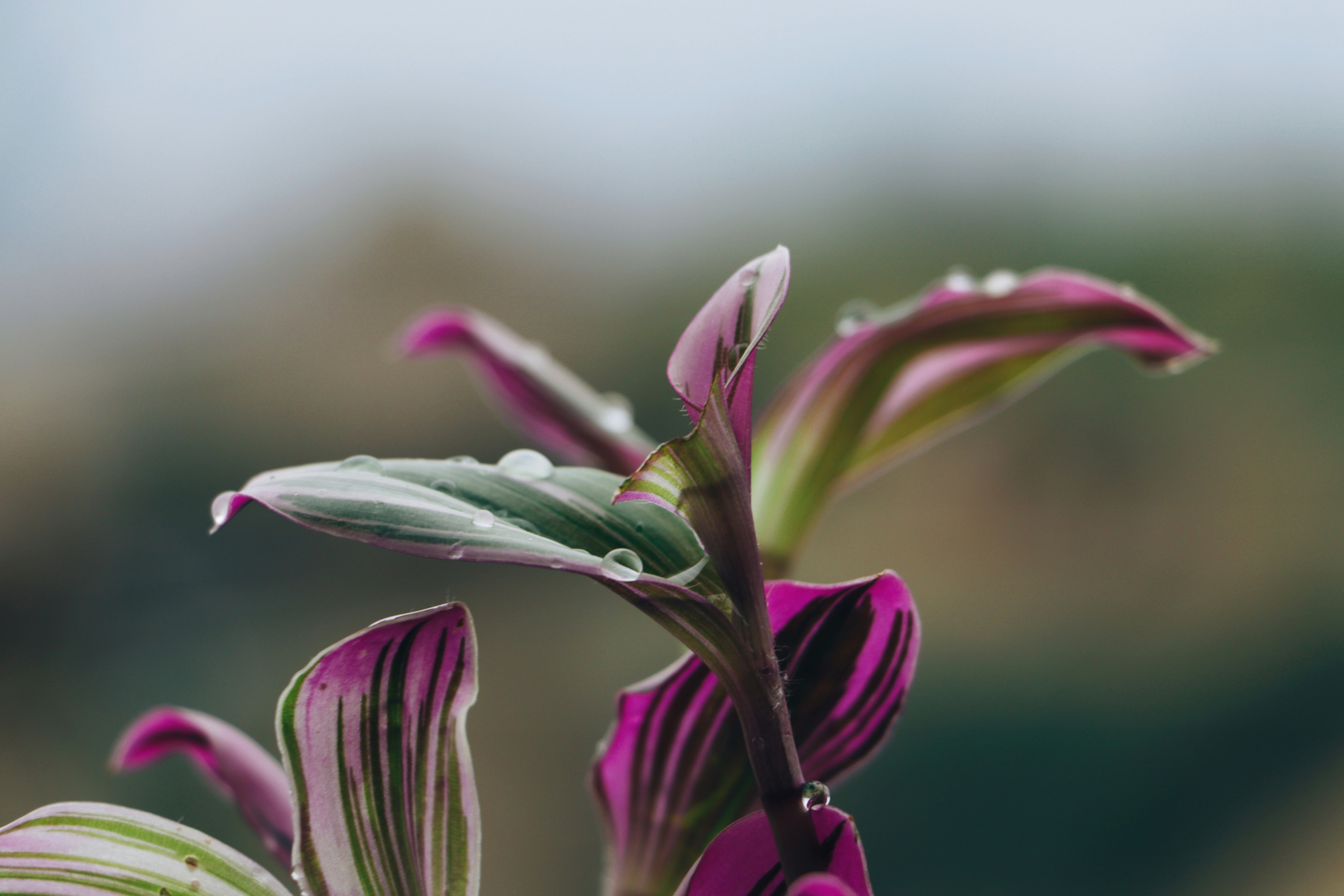 Photo by hamidrezadehghan_11hd