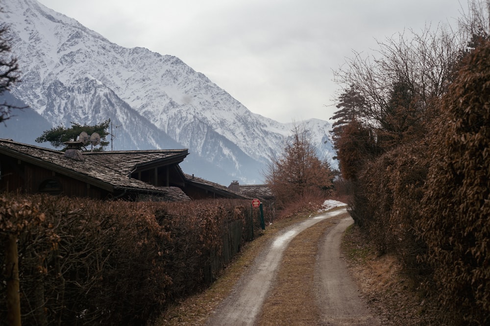 a dirt road in front of a snow covered mountain