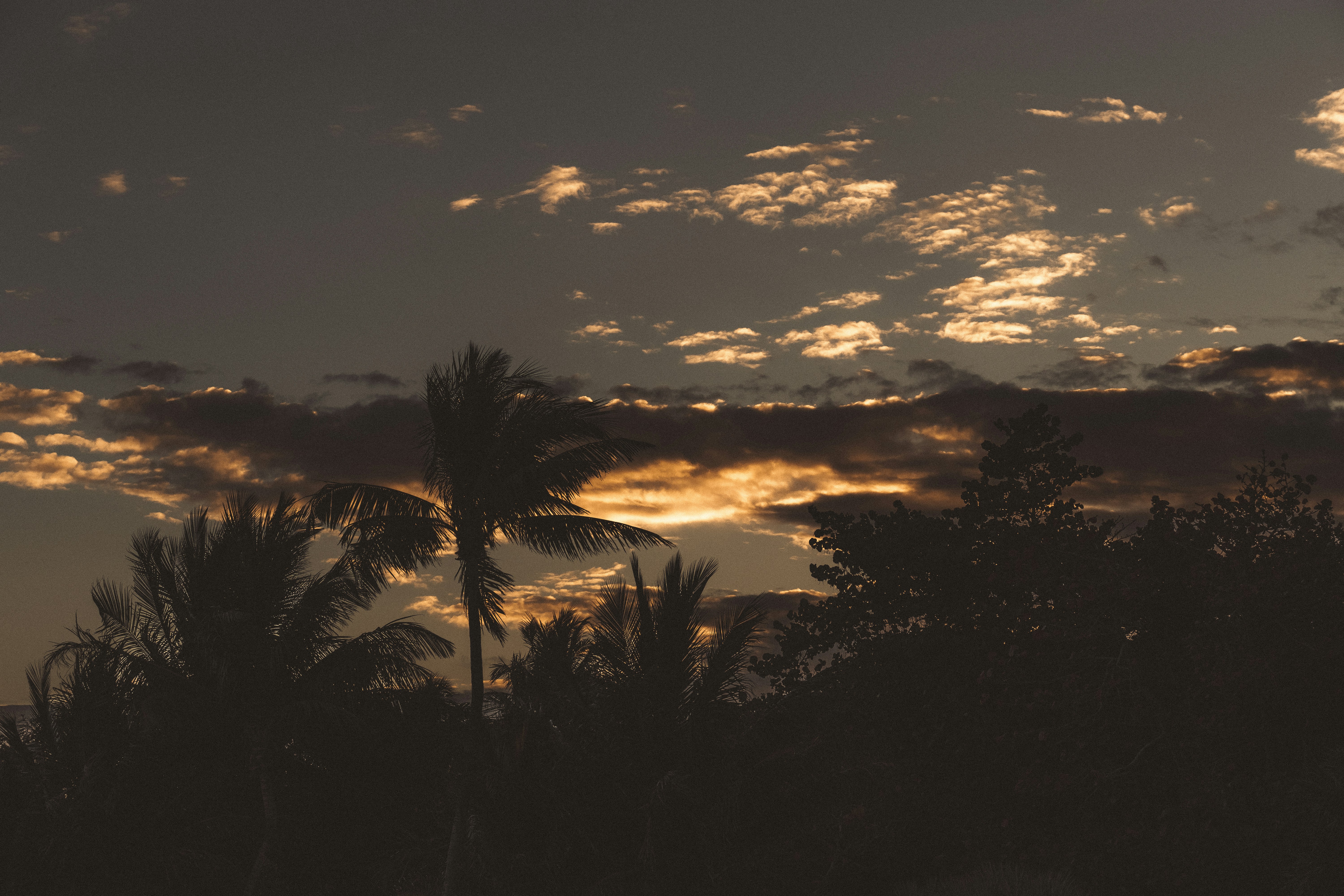 Photo by brice_cooper18