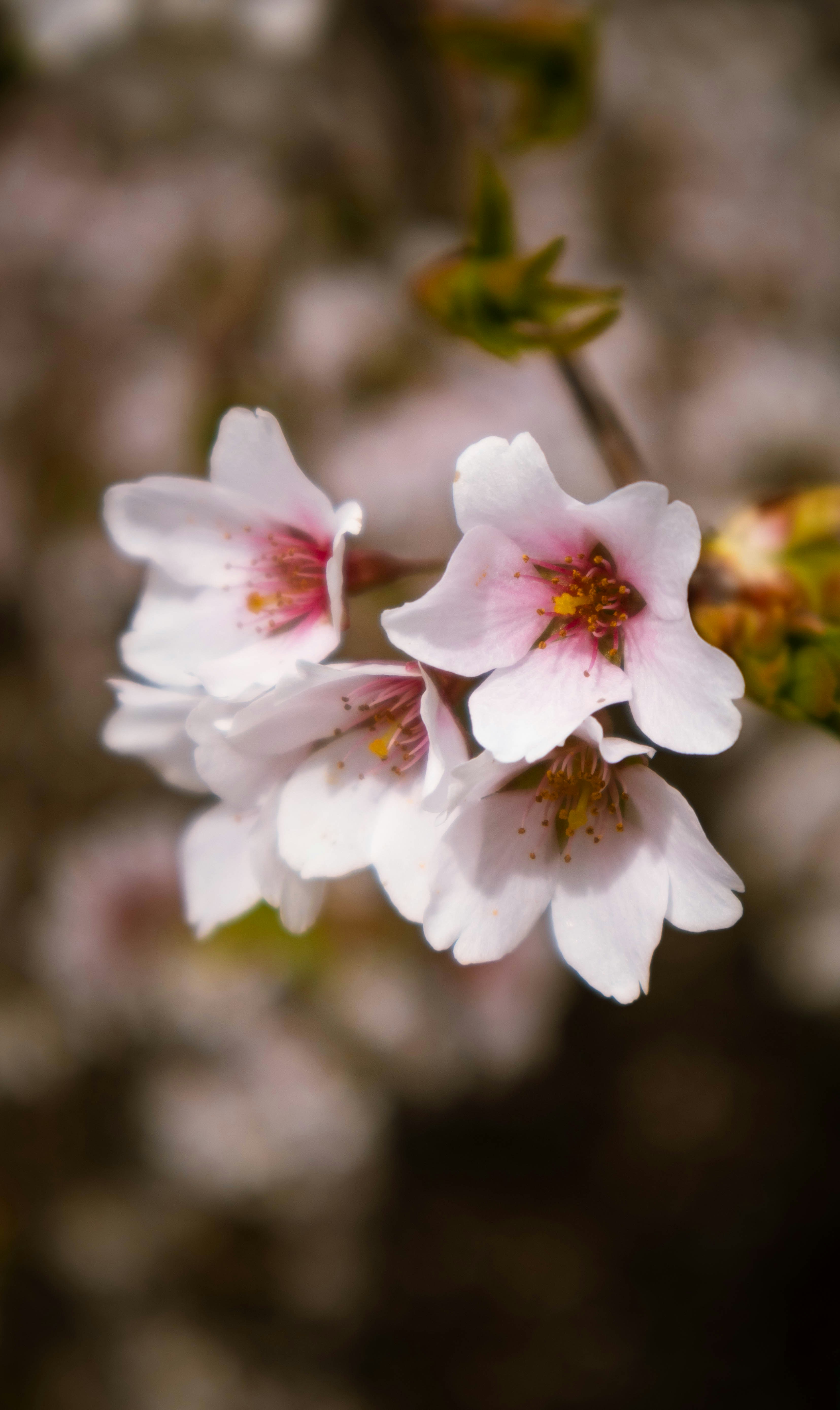 Photo by islandcinematics