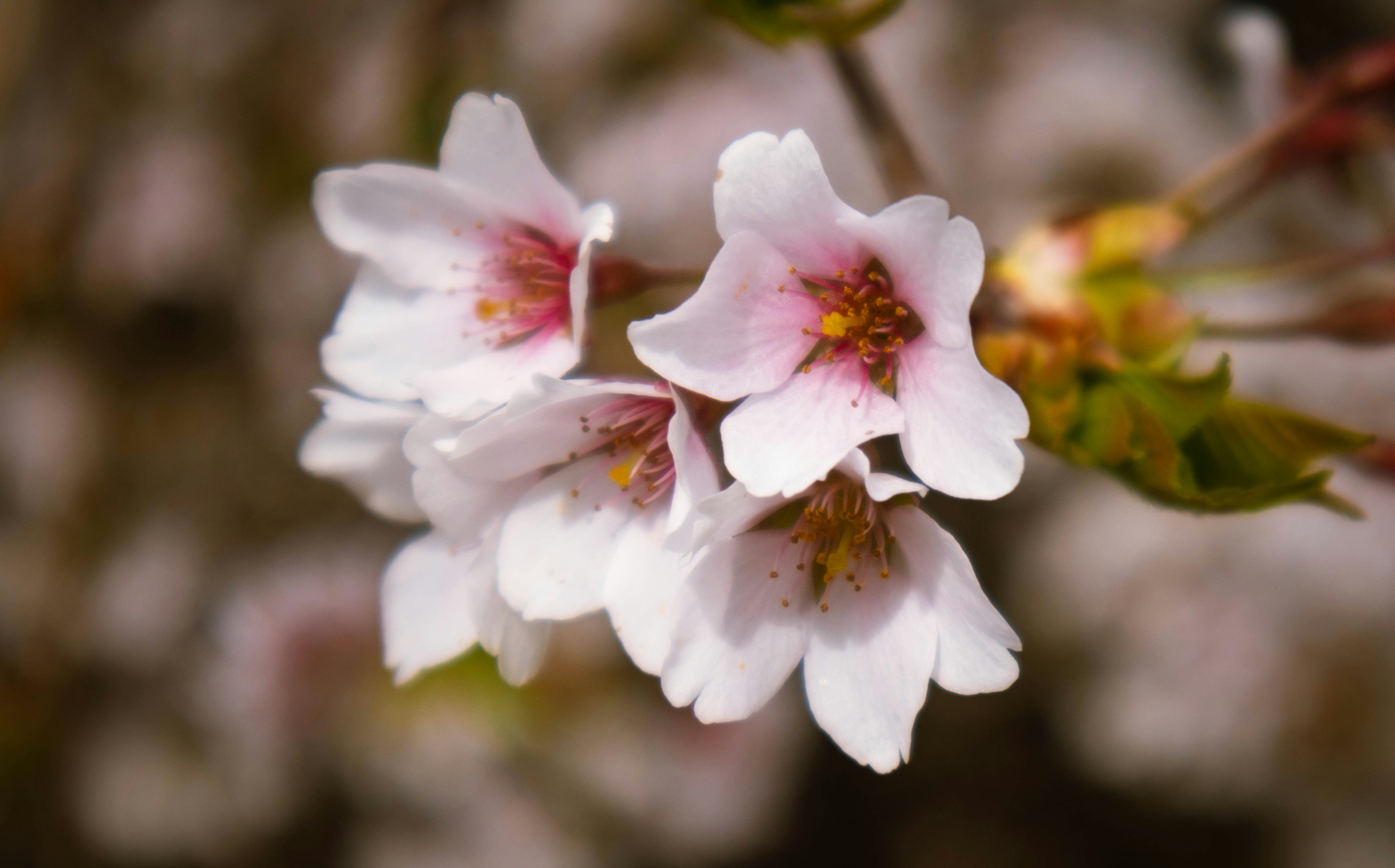 Photo by islandcinematics