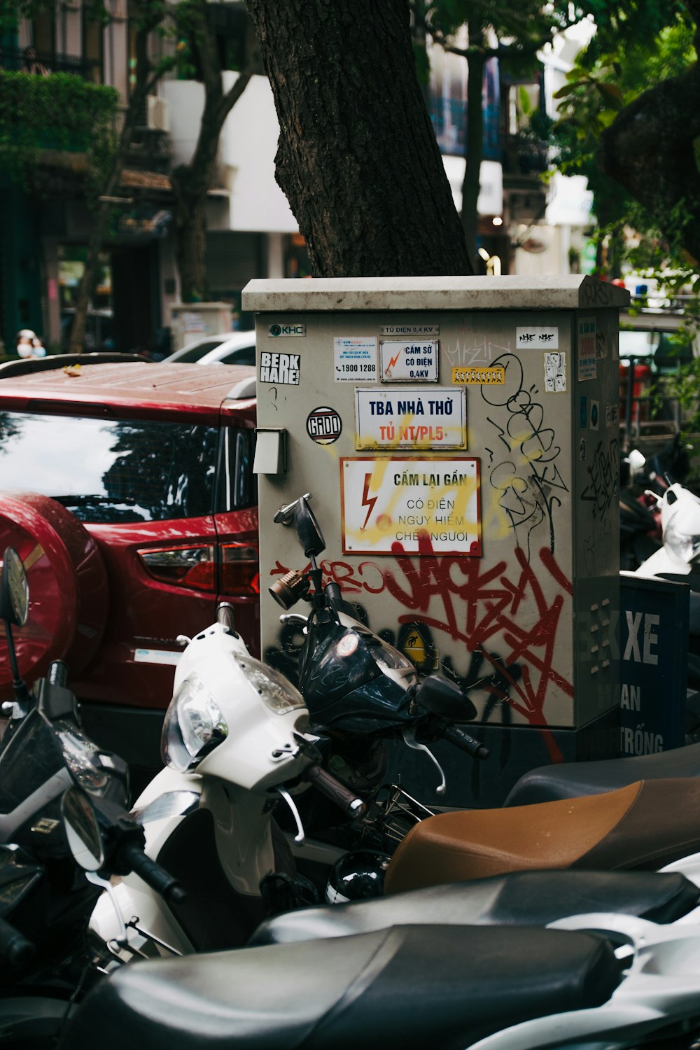 a bunch of motorcycles parked next to a tree