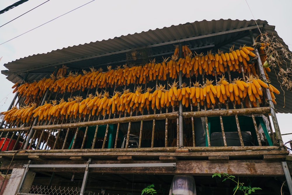 a bunch of bananas are hanging from a building