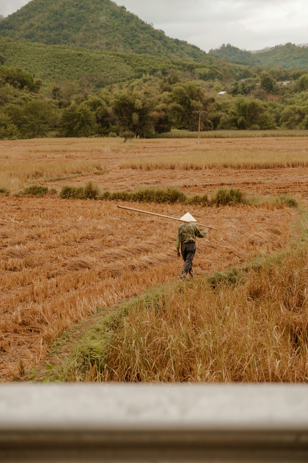 a person in a field with a hat on