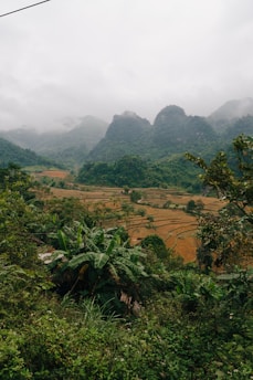 A scenic view of Ecuador’s diverse landscapes where Miski Fruits sources its exotic produce.