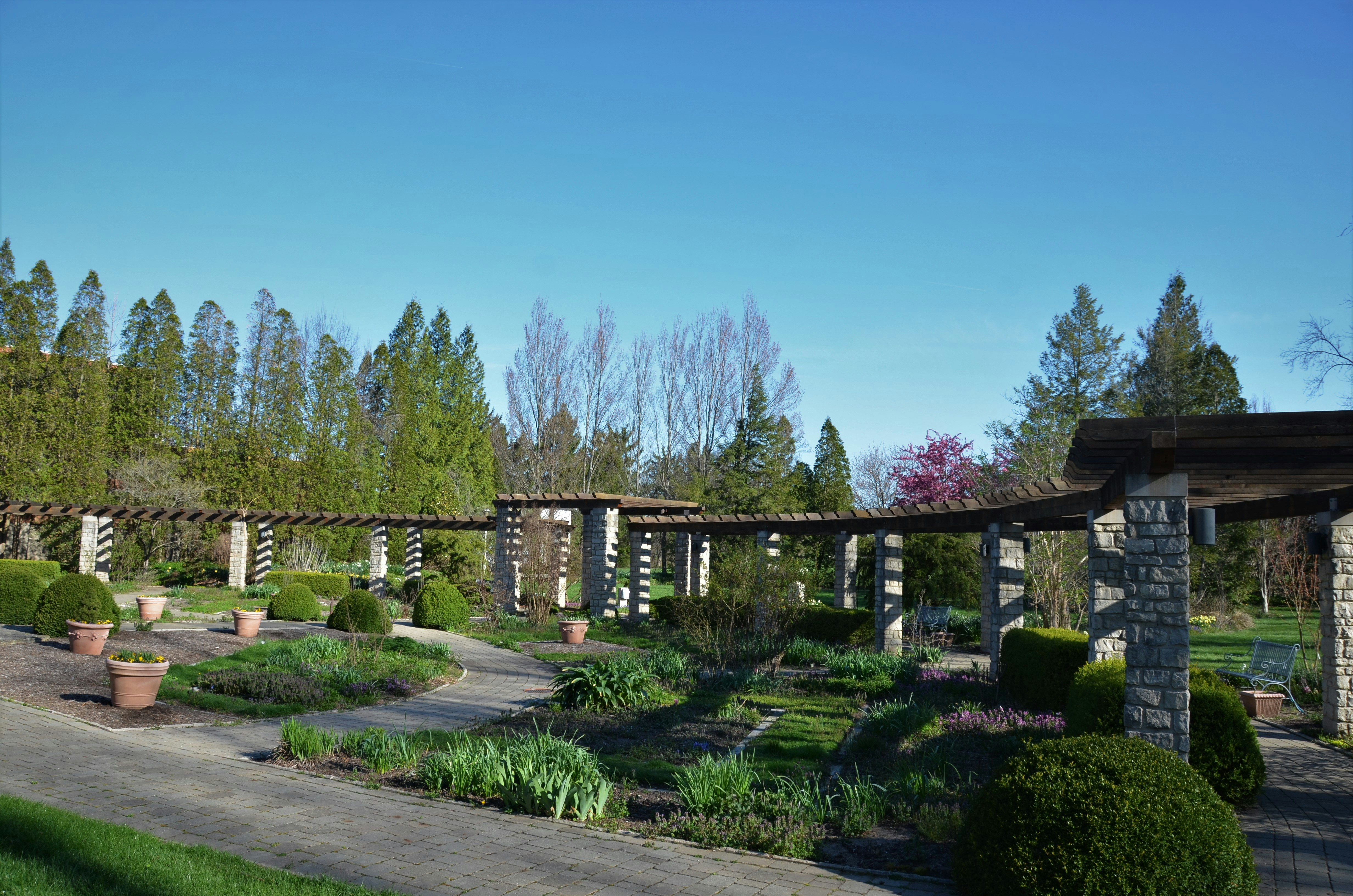 Peaceful garden walkway for daily walks