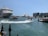 A bustling harbor scene showcases a large cruise ship docked alongside smaller boats navigating the water. The iconic Sydney Opera House stands prominently in the background against a backdrop of clear blue sky. High-rise buildings are visible adjacent to the water, while the view captures a lively atmosphere with movement on the water.