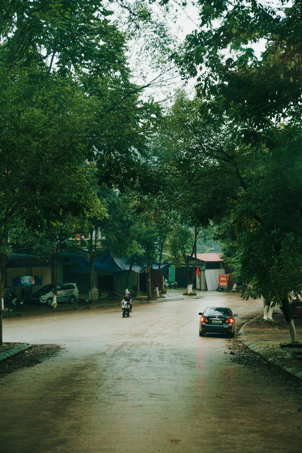 a car driving down a road next to a forest