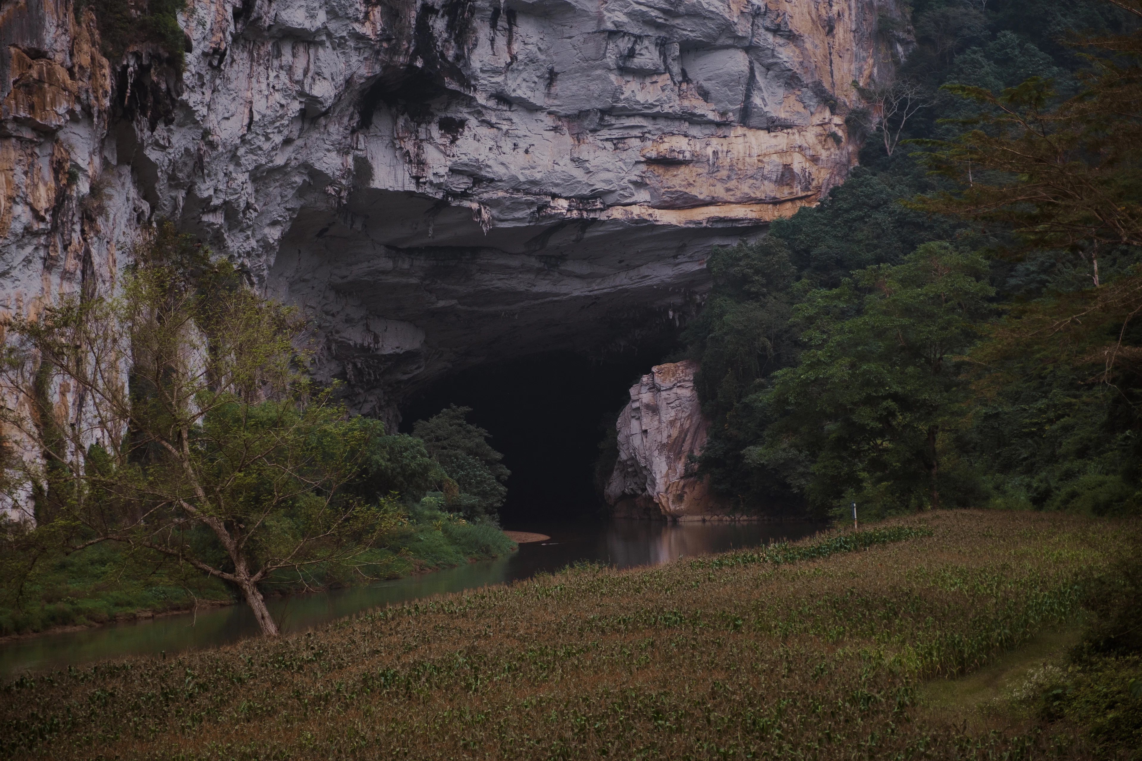 A vast cave mouth in a limestone cliff with a river flowing through it, surrounded by forest