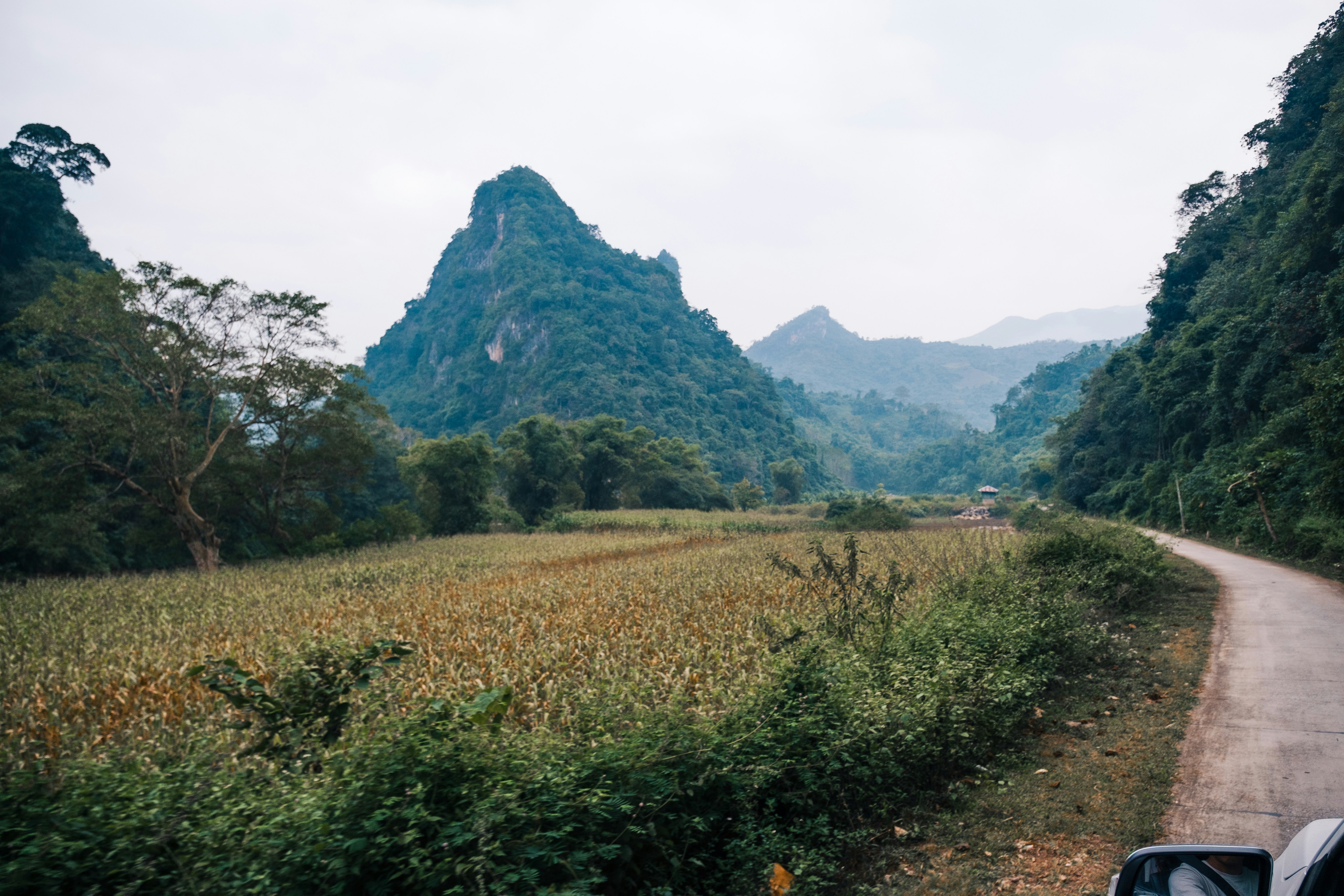 a car driving down a dirt road next to a lush green field, 