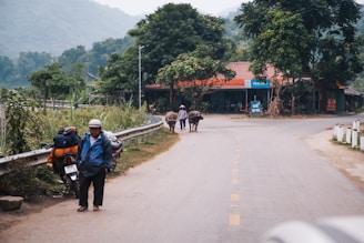 A rural scene featuring a road winding through a village with lush greenery and mountains in the background. A person wearing a helmet and jacket stands next to a motorcycle loaded with luggage on the roadside. Farther down the road, another person leads two buffaloes. Several small buildings with signs and a mixture of traditional and modern architecture line the road.