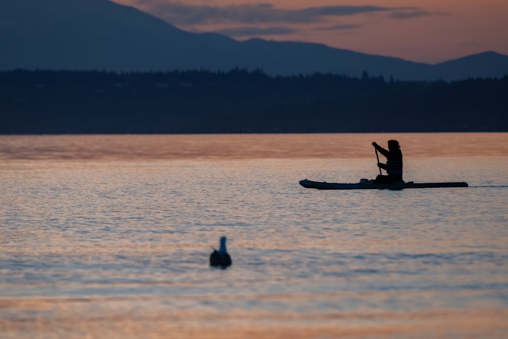 a person in a kayak on a body of water