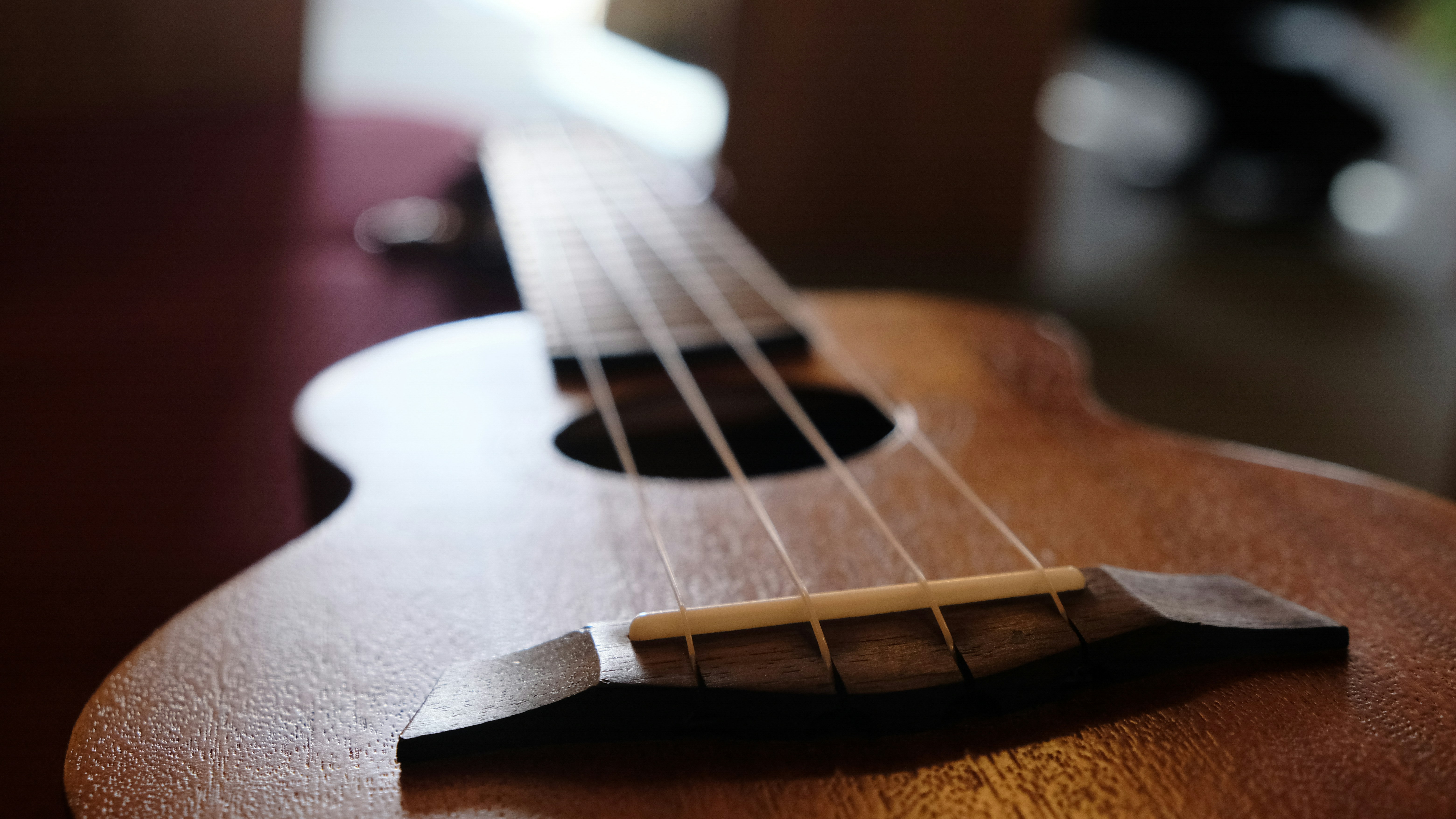 Photo by dcanadianphotographer