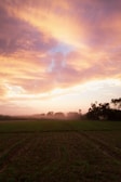 Sunset view over a serene open land ready for development.