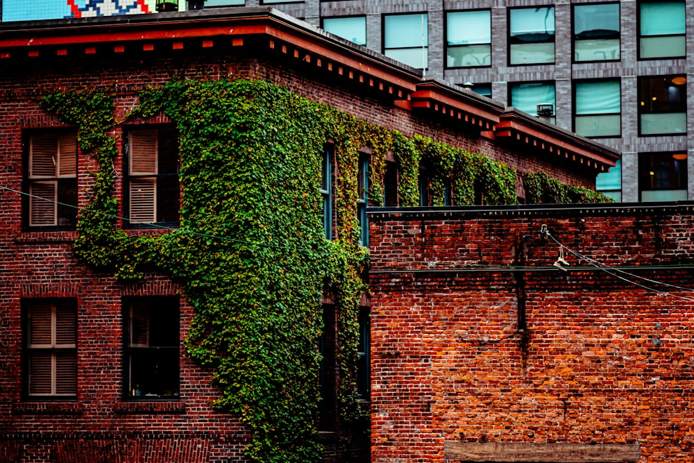 a tall brick building covered in ivy