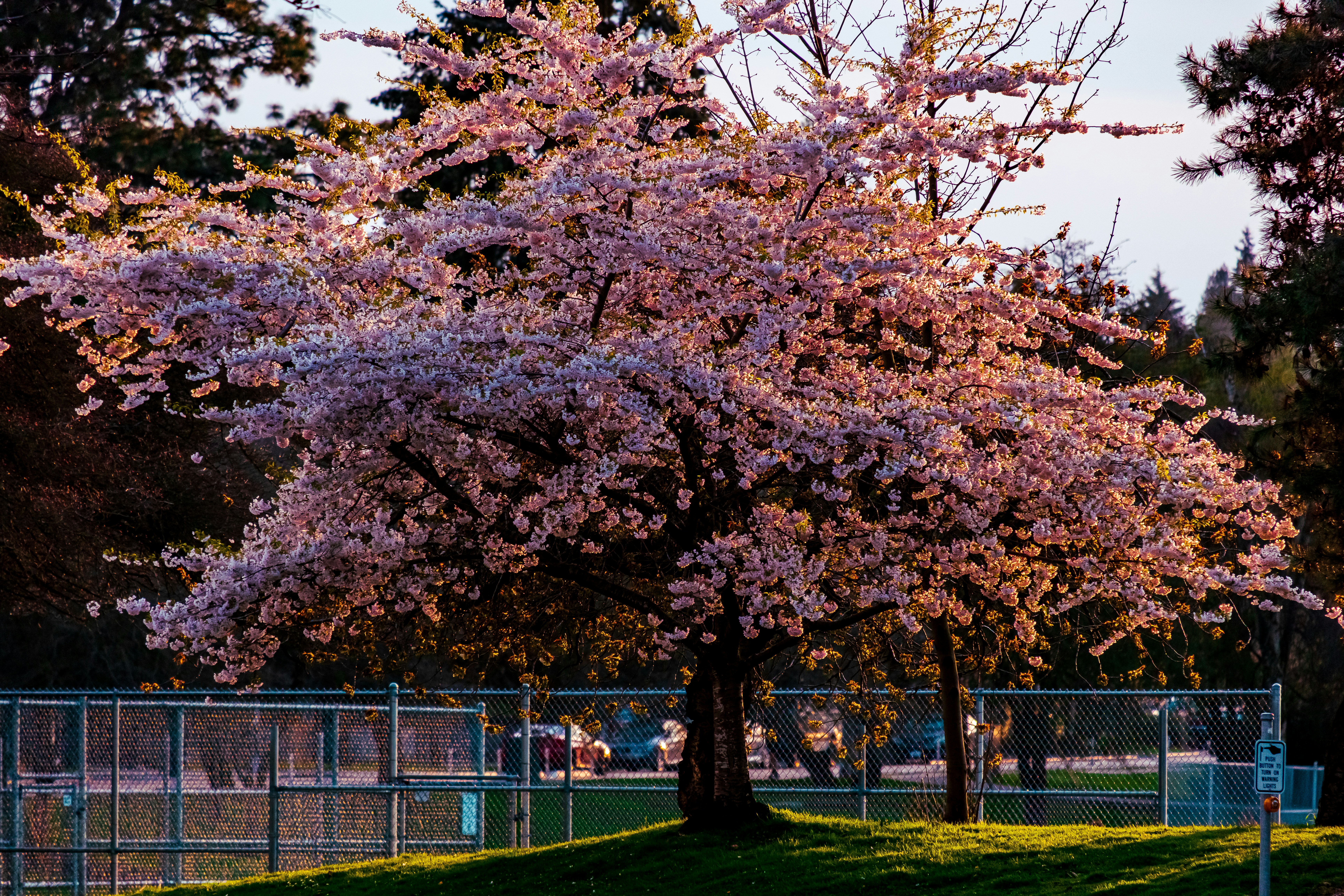 Photo by sleepless_explorer