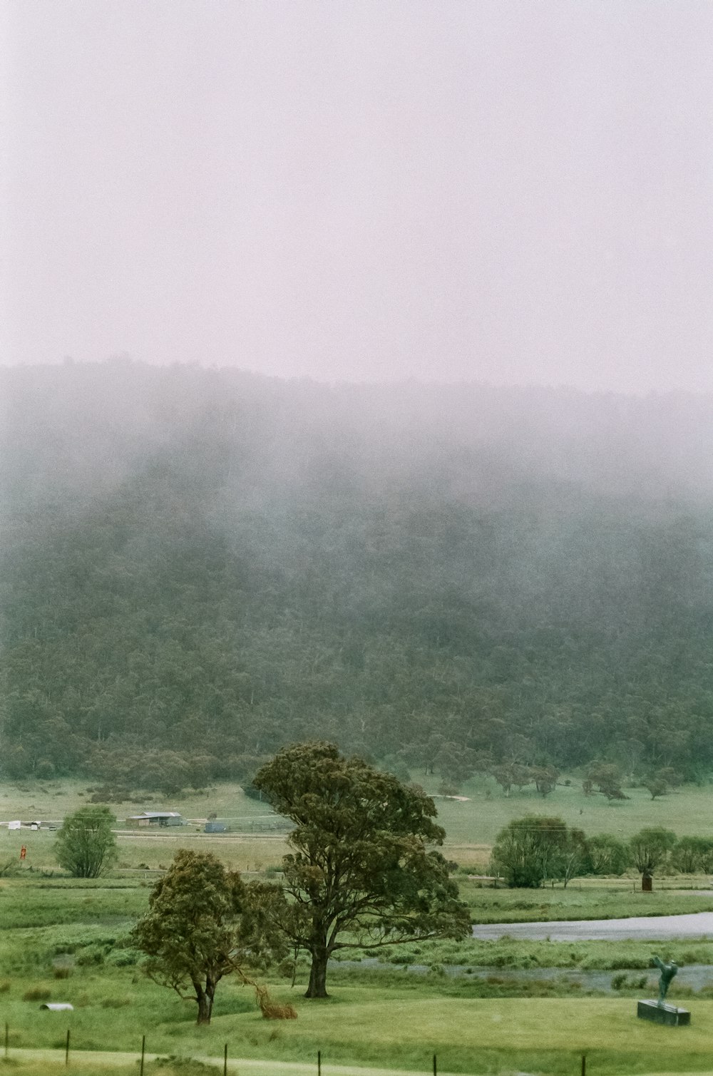 a green field with a few trees in it