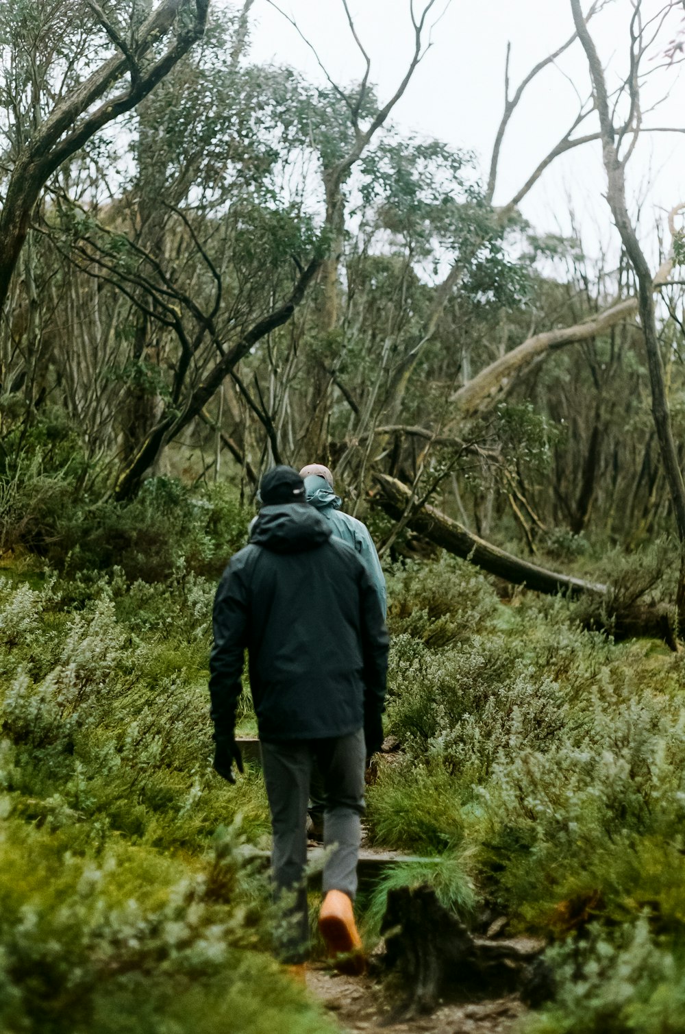 a man walking down a path in the woods