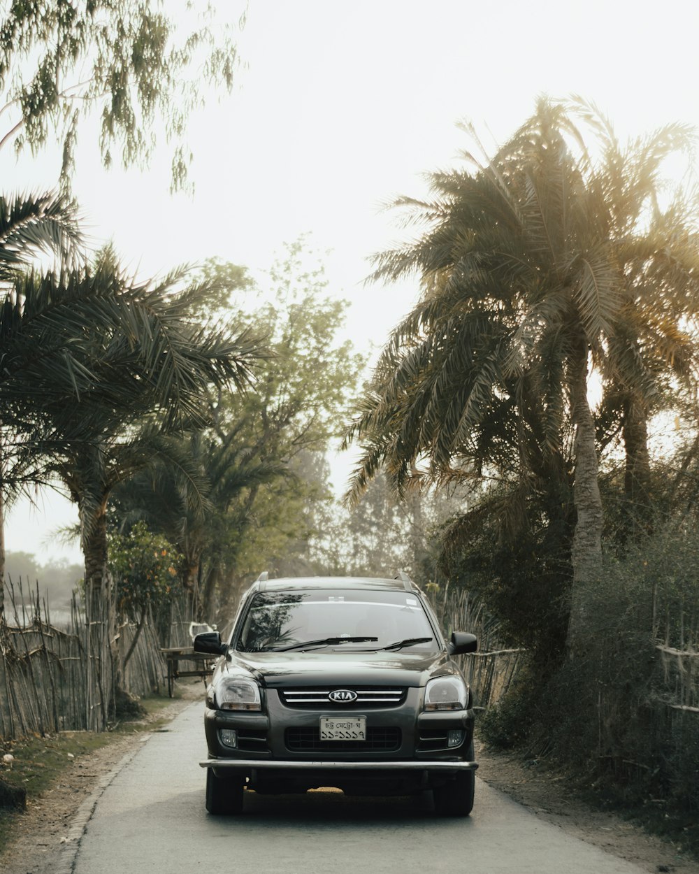 a car driving down a street next to palm trees