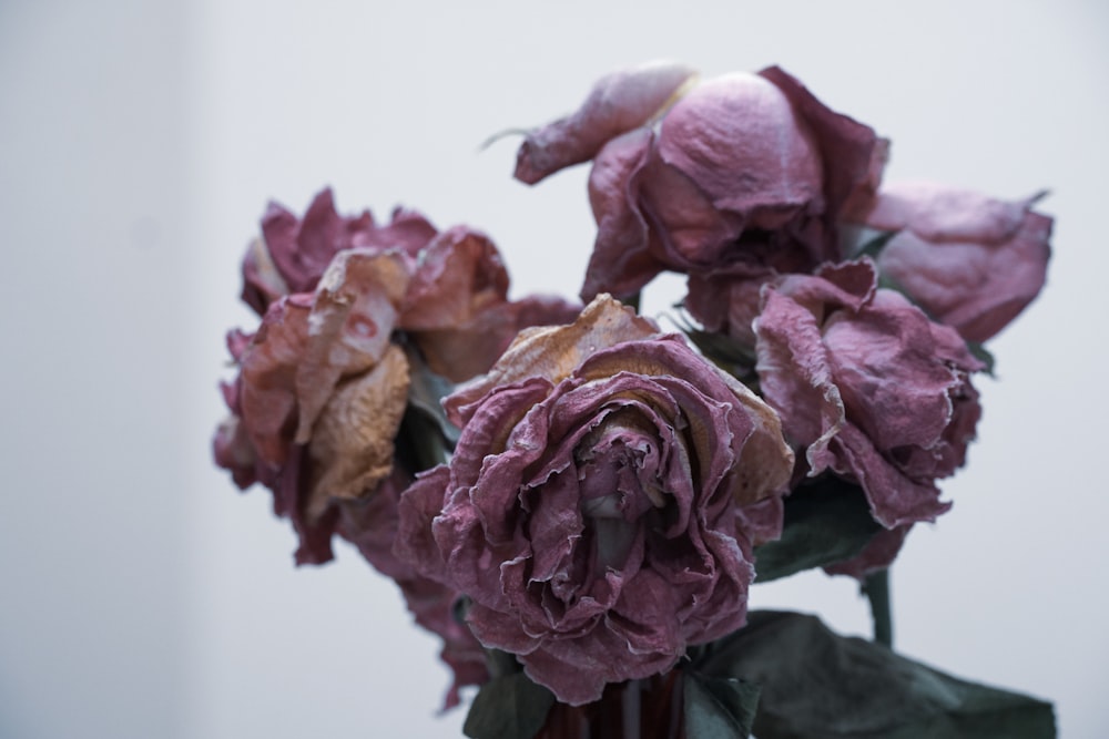 a vase filled with purple flowers on top of a table